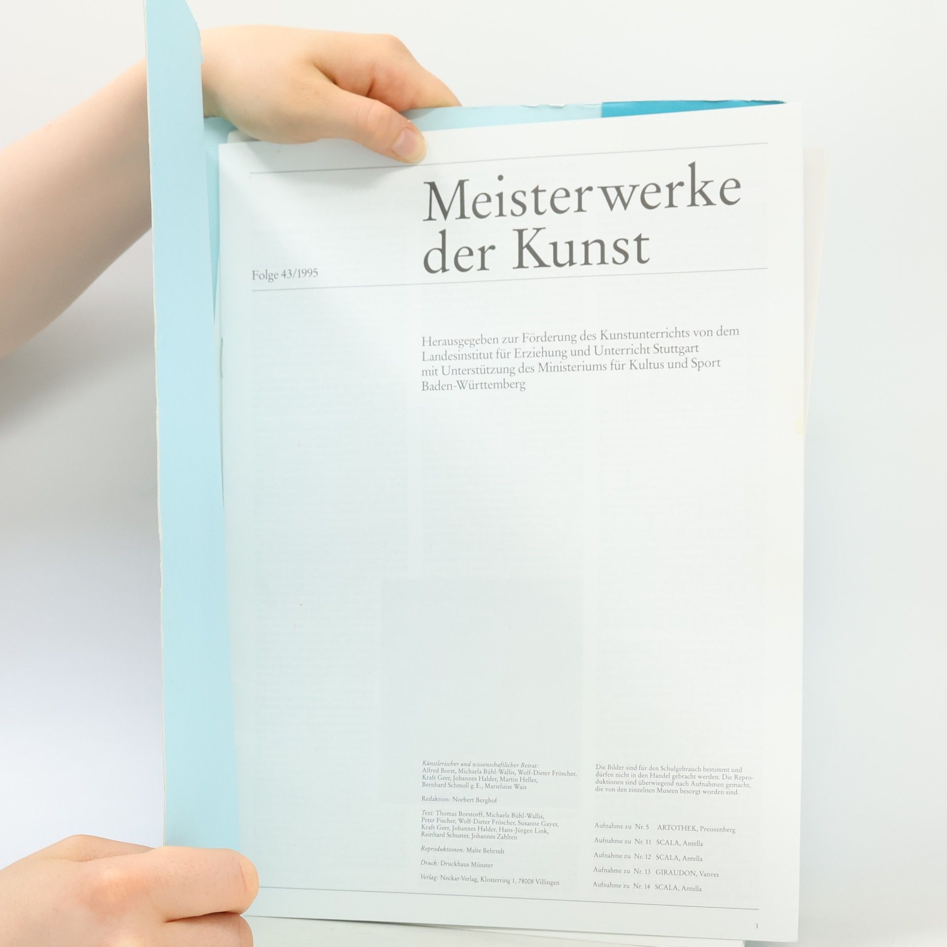 Various authors Meister Werke der Kunst 43