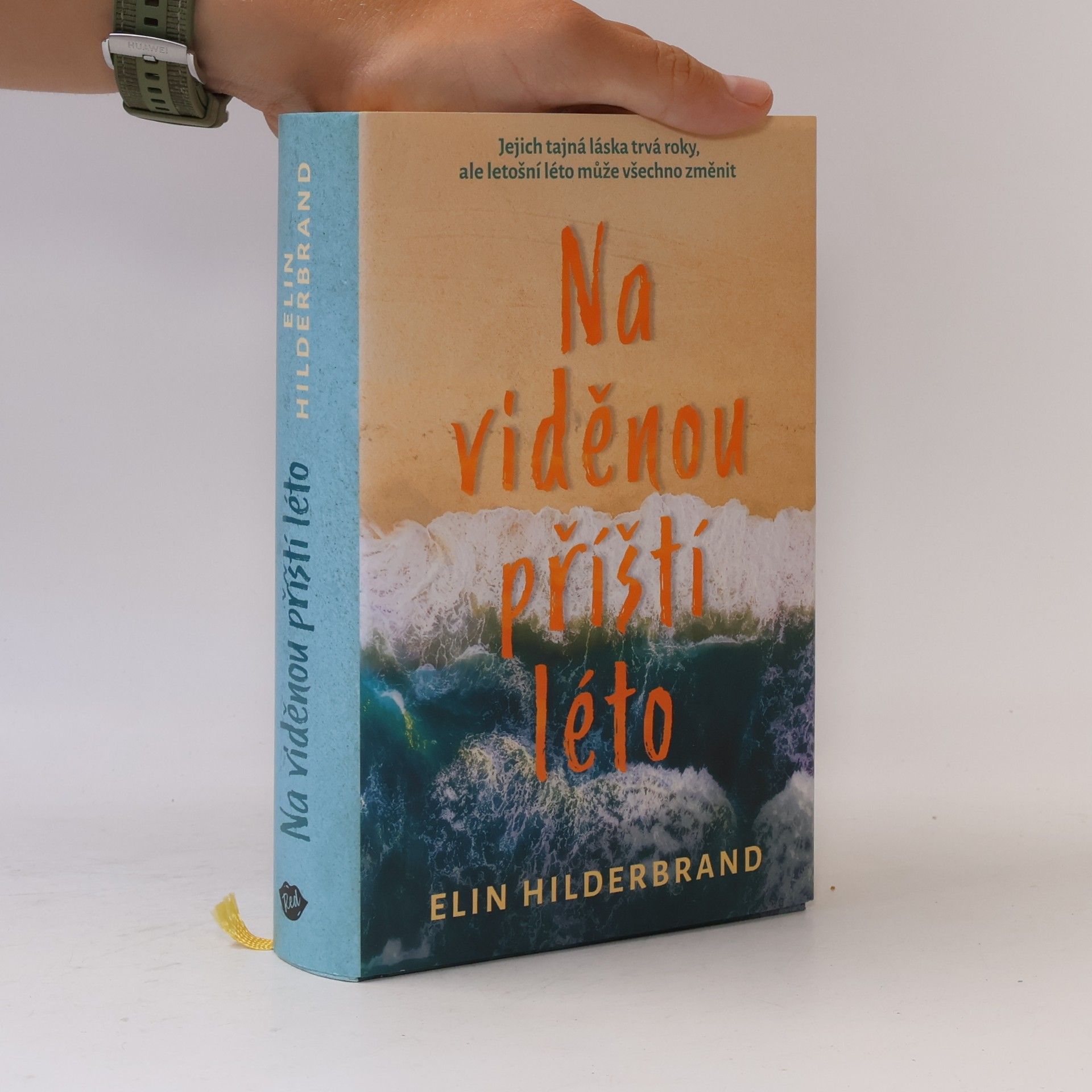 Elin Hilderbrand Na viděnou příští léto