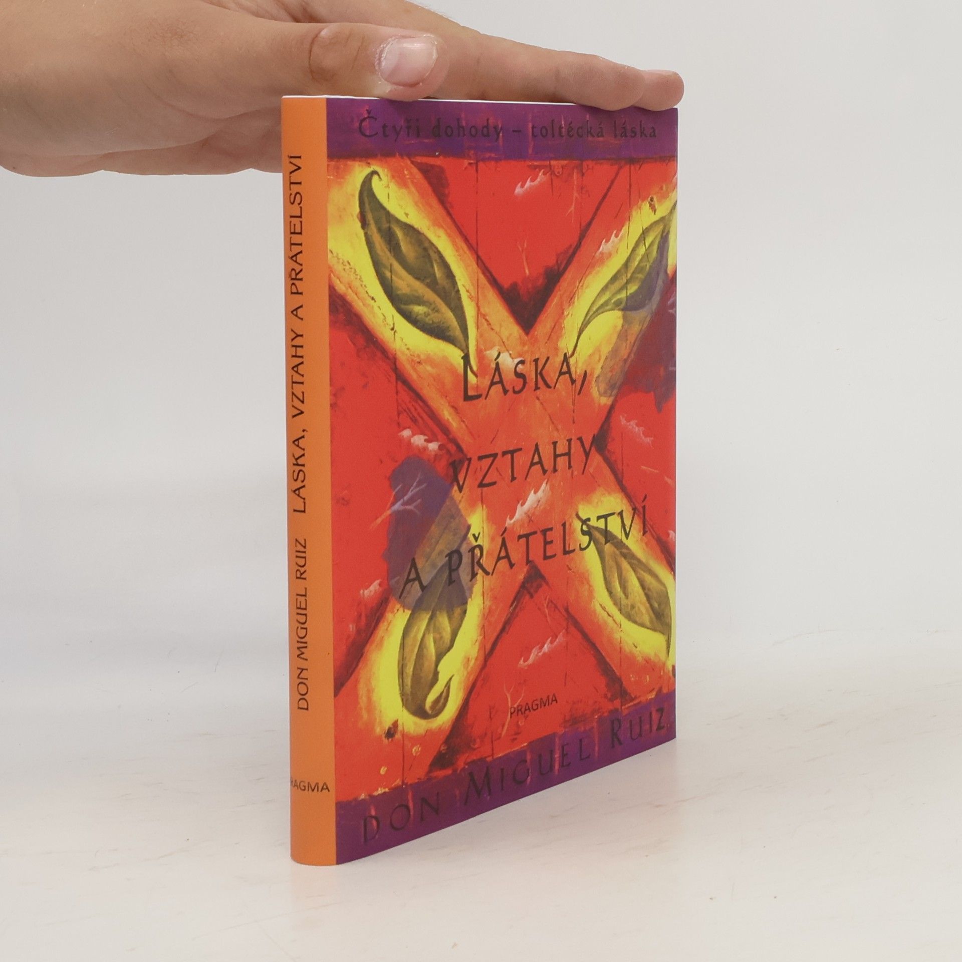 Don Miguel Ruiz Láska, vztahy a přátelství