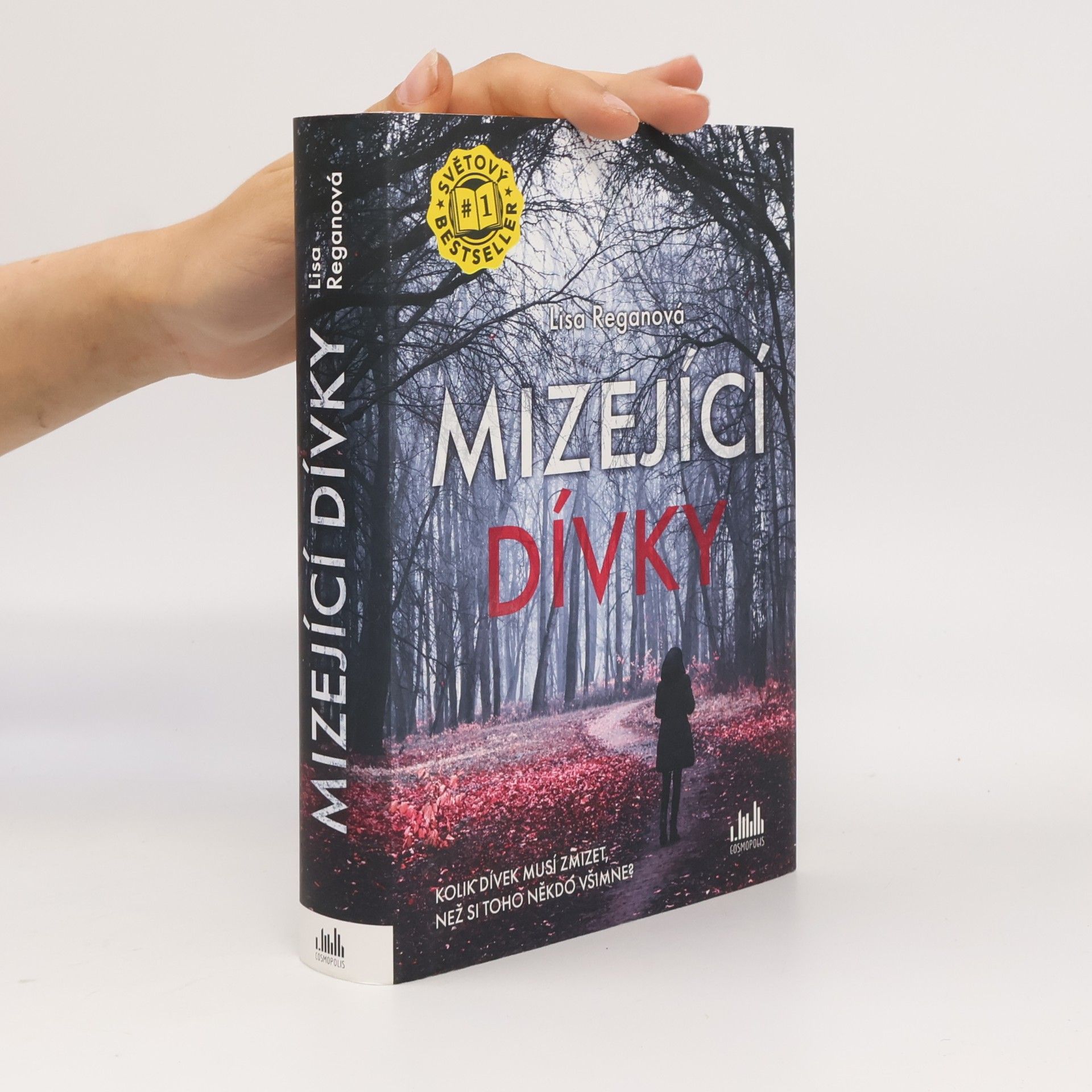 Lisa Regan Mizející dívky