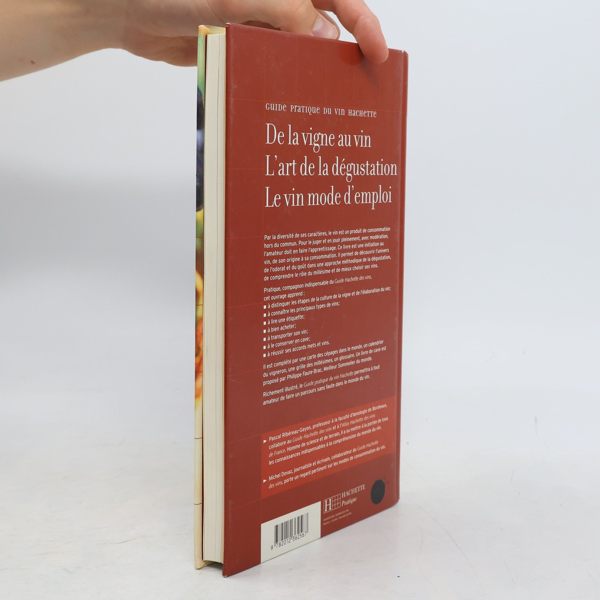 Pascal Ribéreau-Gayon Guide pratique du vin Hachette
