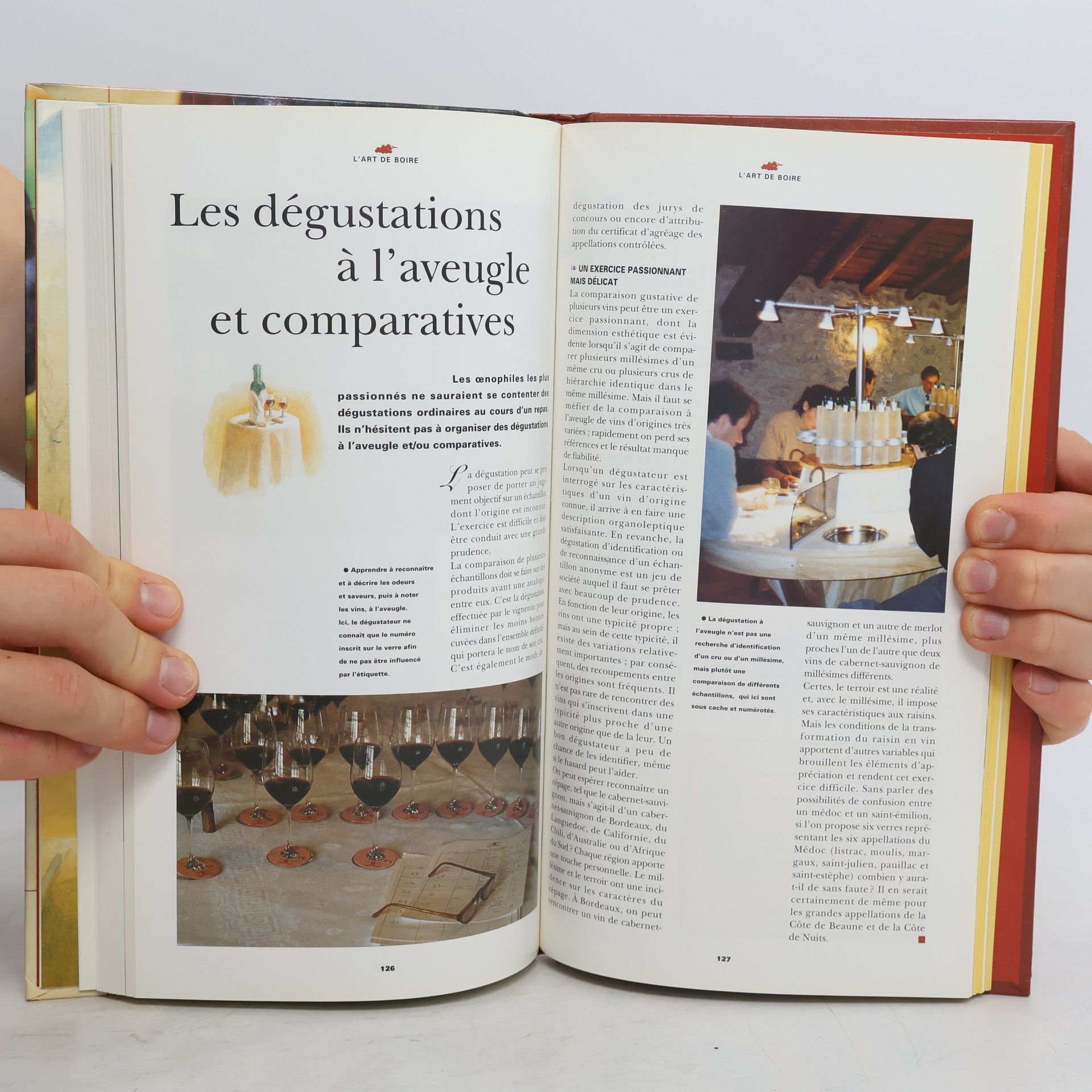 Pascal Ribéreau-Gayon Guide pratique du vin Hachette