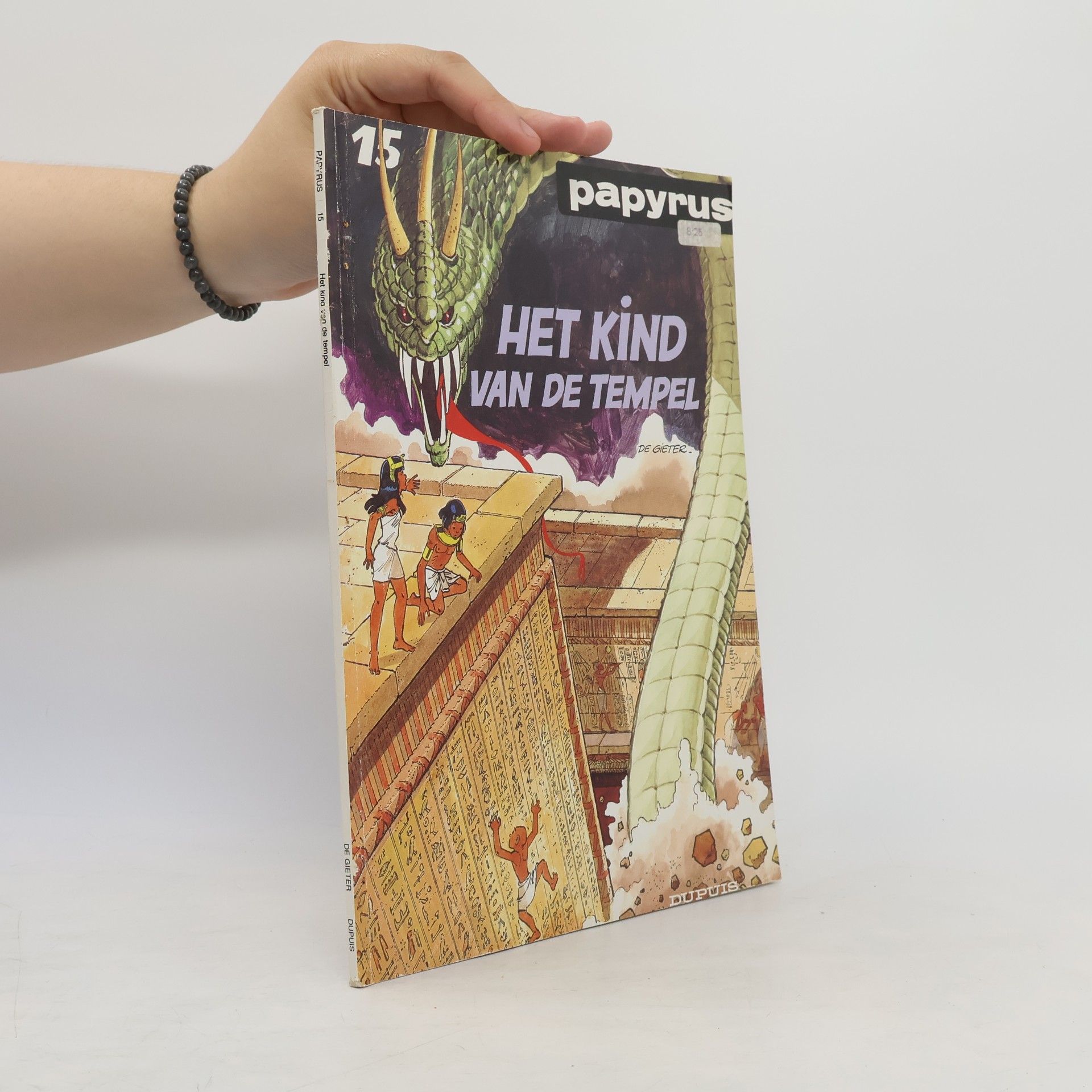 Het kind van de tempel