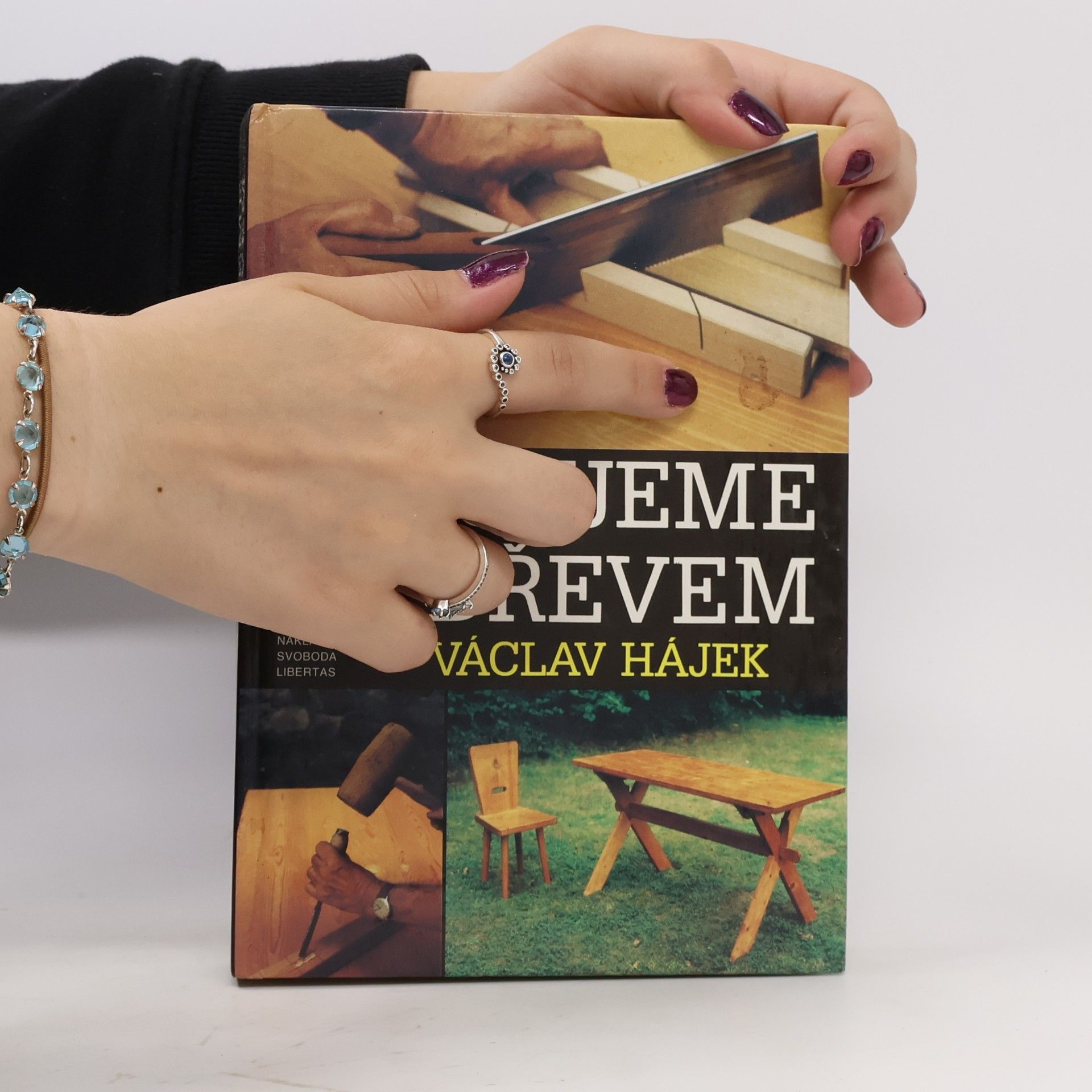 Václav Hájek Pracujeme se dřevem