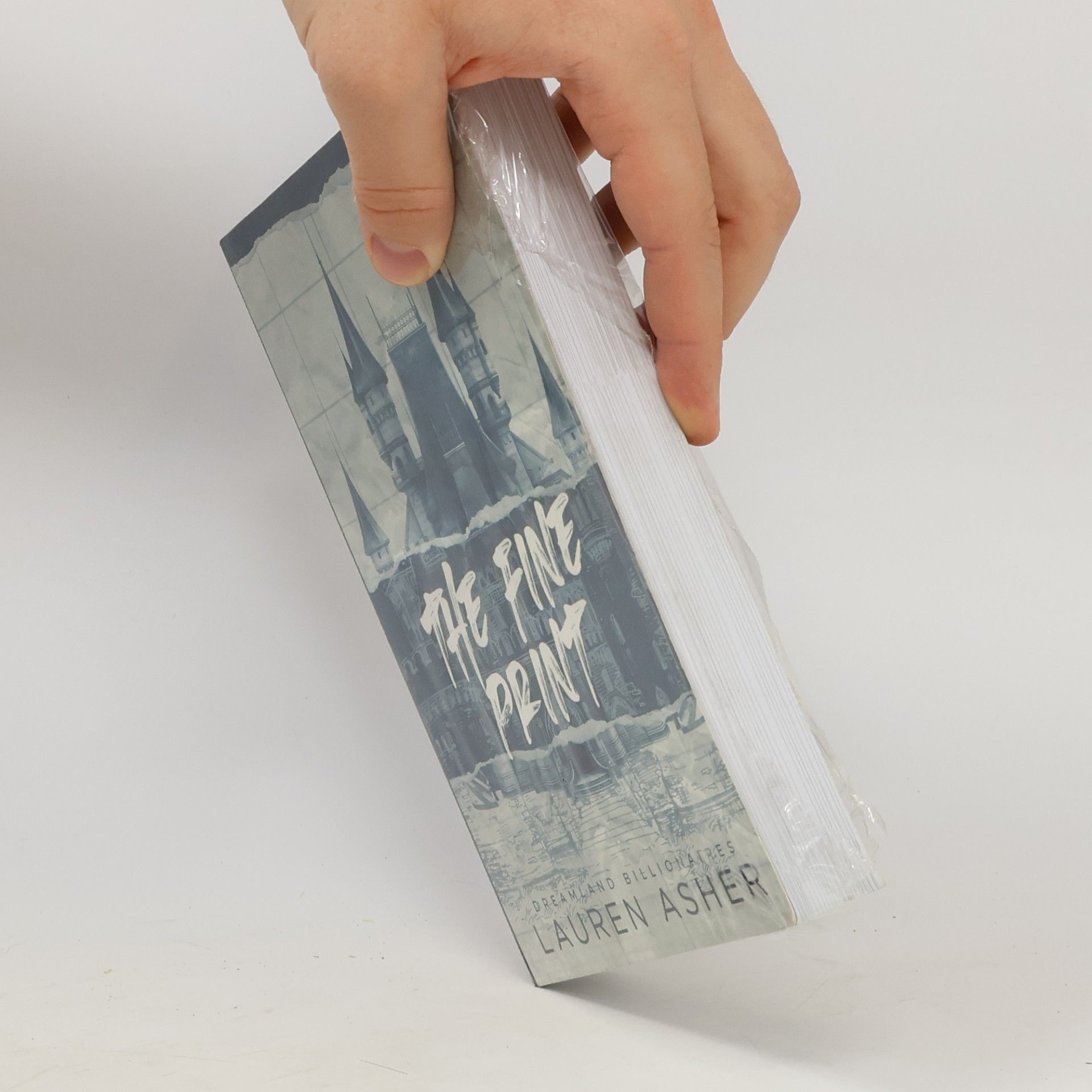 Lauren Asher The Fine Print