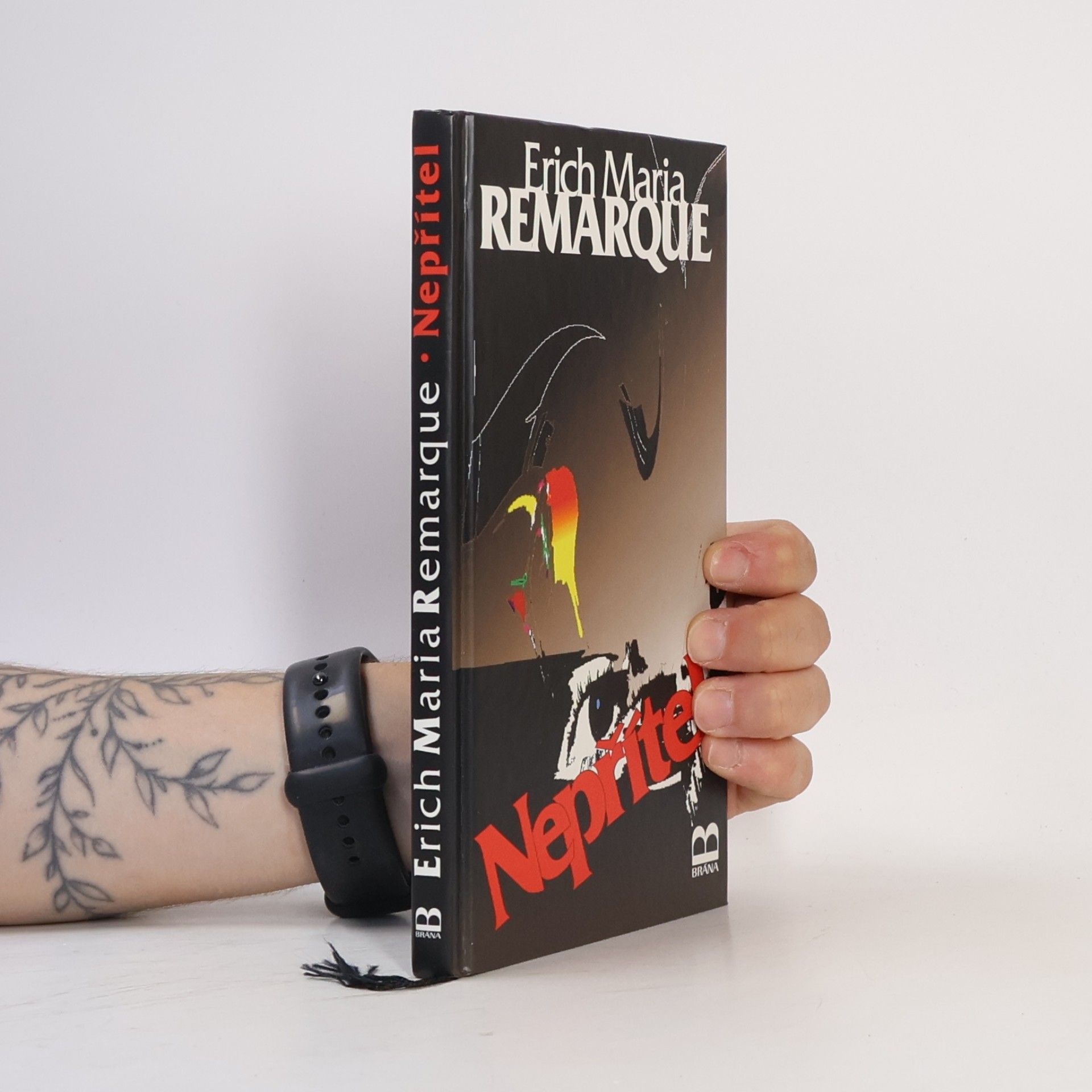 Erich Maria Remarque Nepřítel