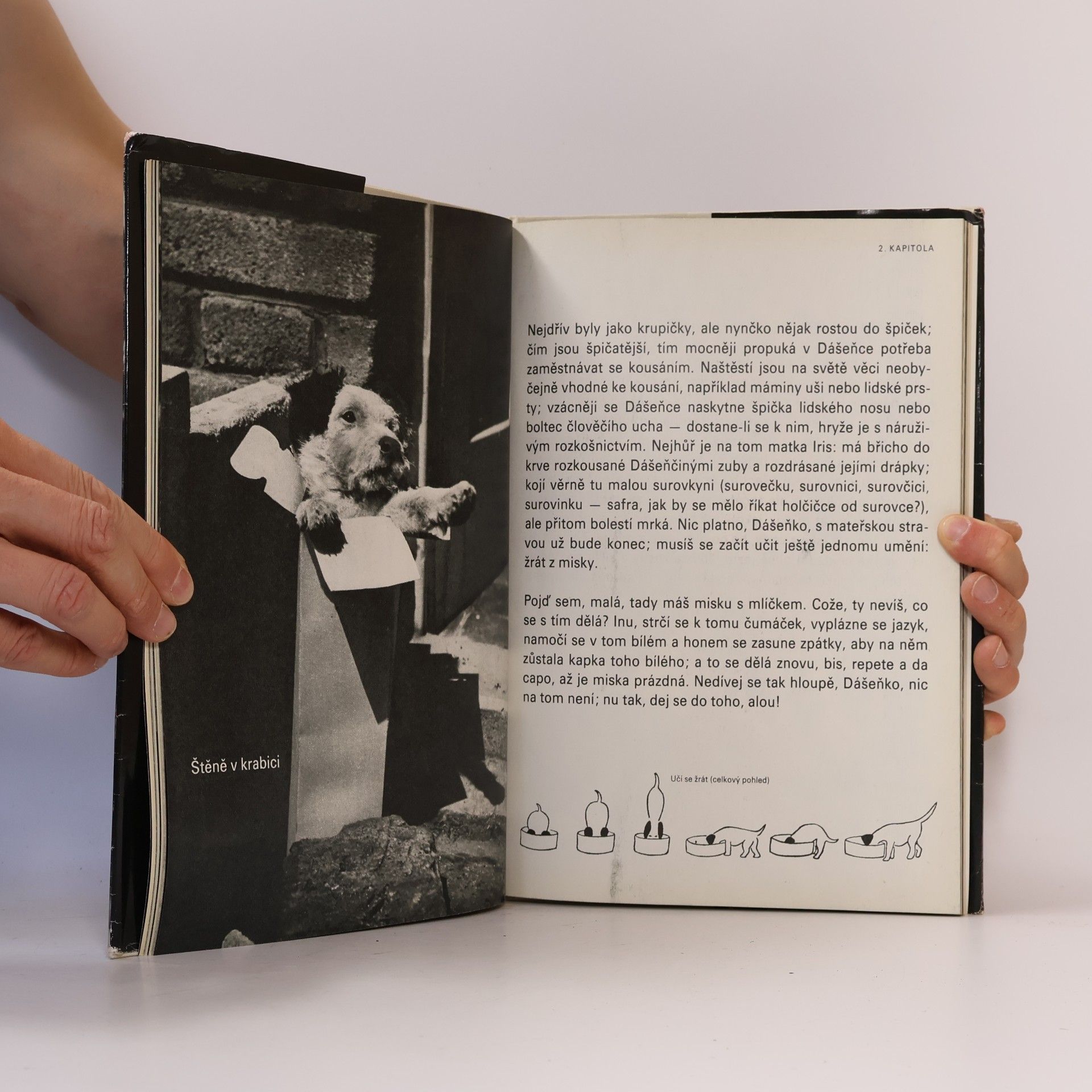 Karel Čapek Dášeňka čili život štěněte