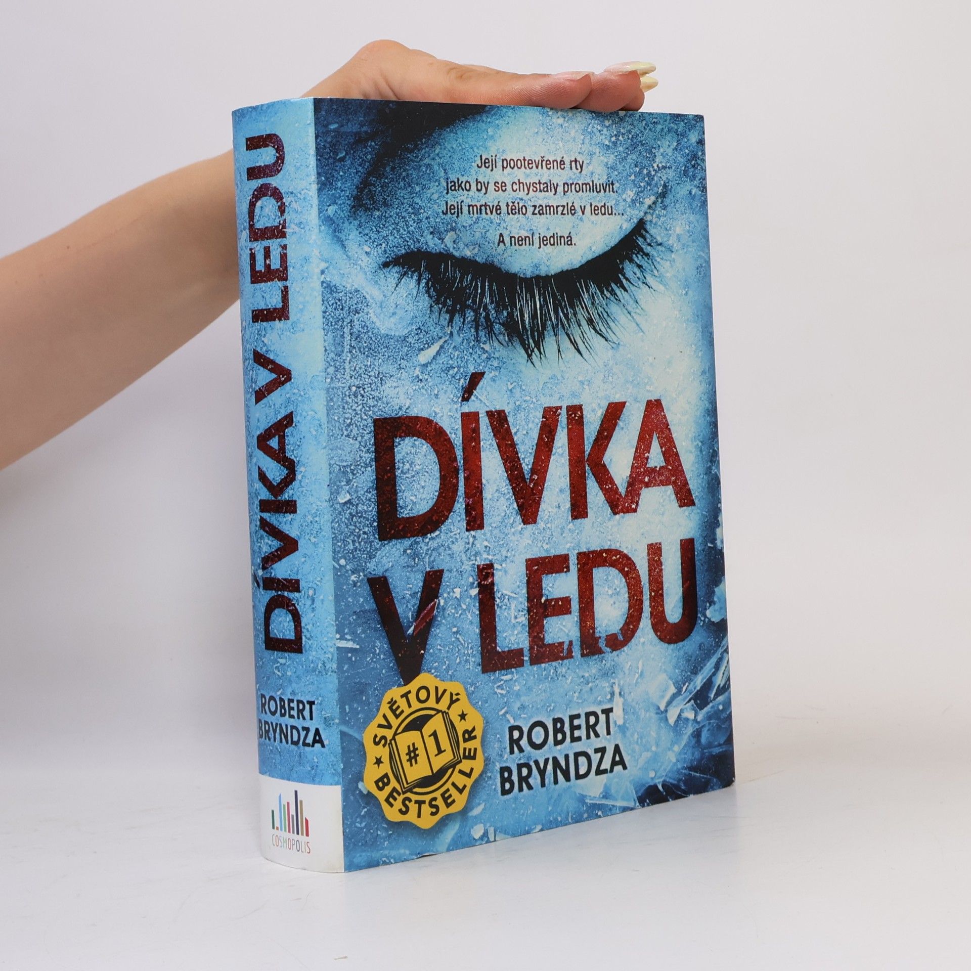 Robert Bryndza Dívka v ledu