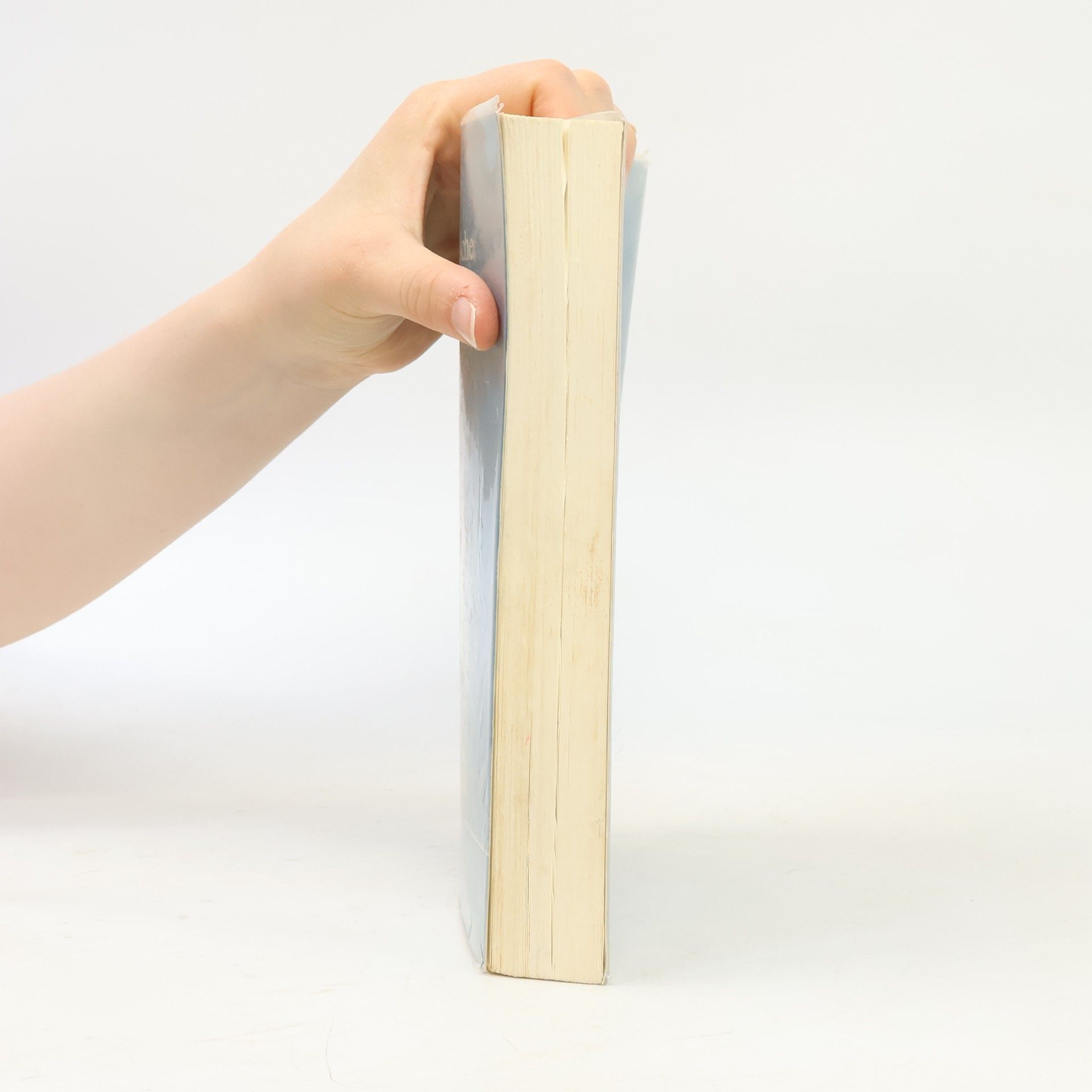 Dieter Gutzen Einführung in die neuere deutsche Literaturwissenschaft
