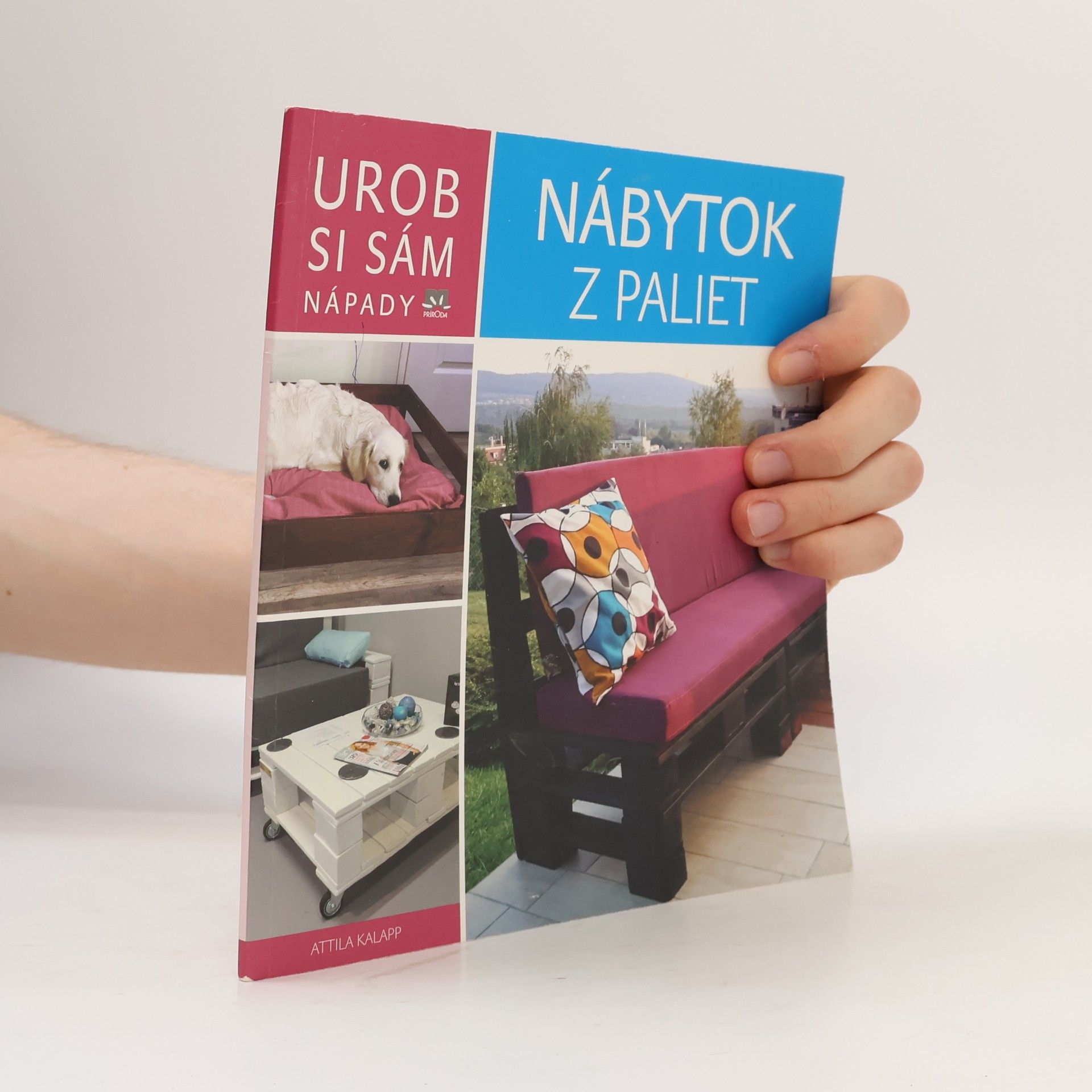 Various authors Urob si sám: nápady - nábytok z paliet
