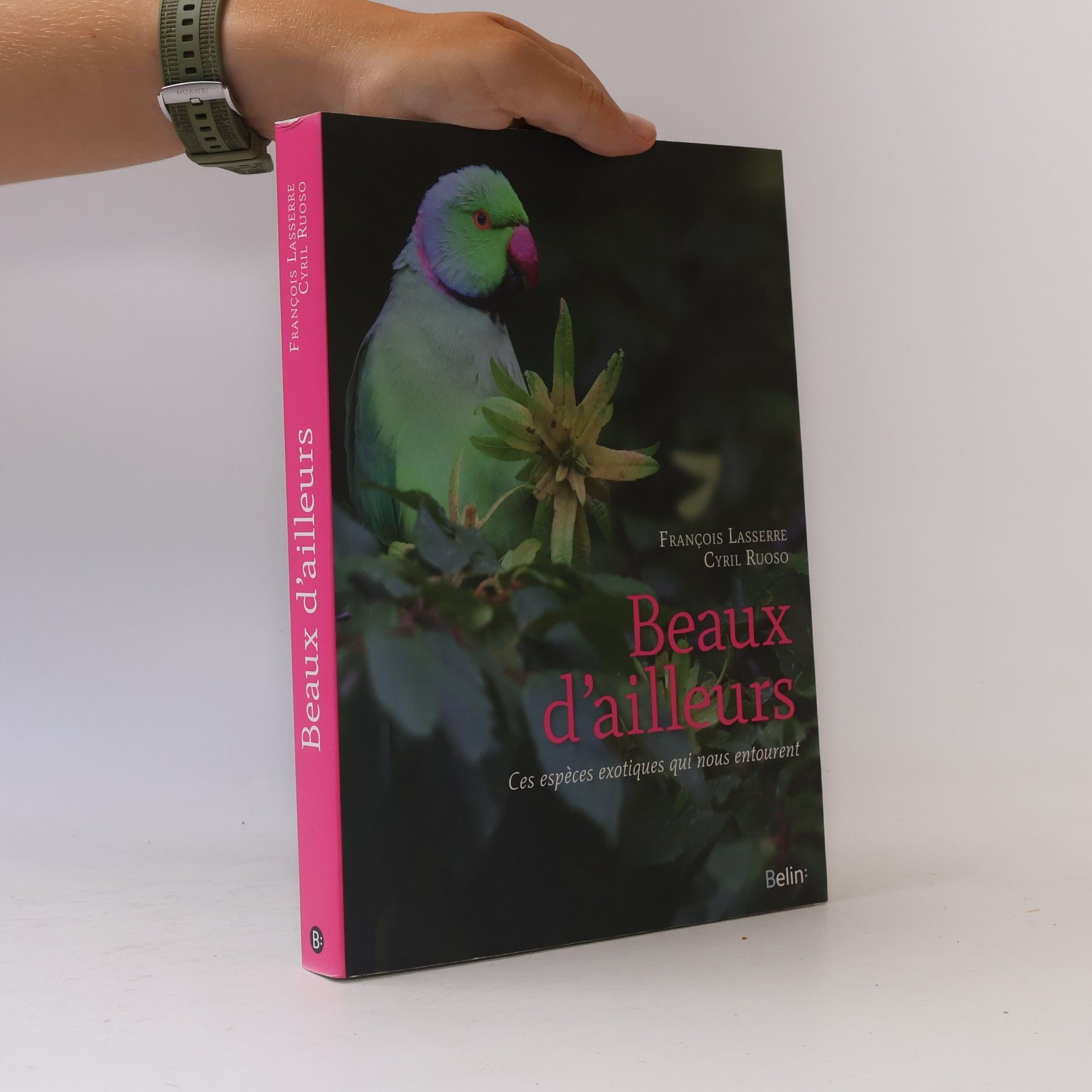 Cyril Ruoso Beaux d'ailleurs