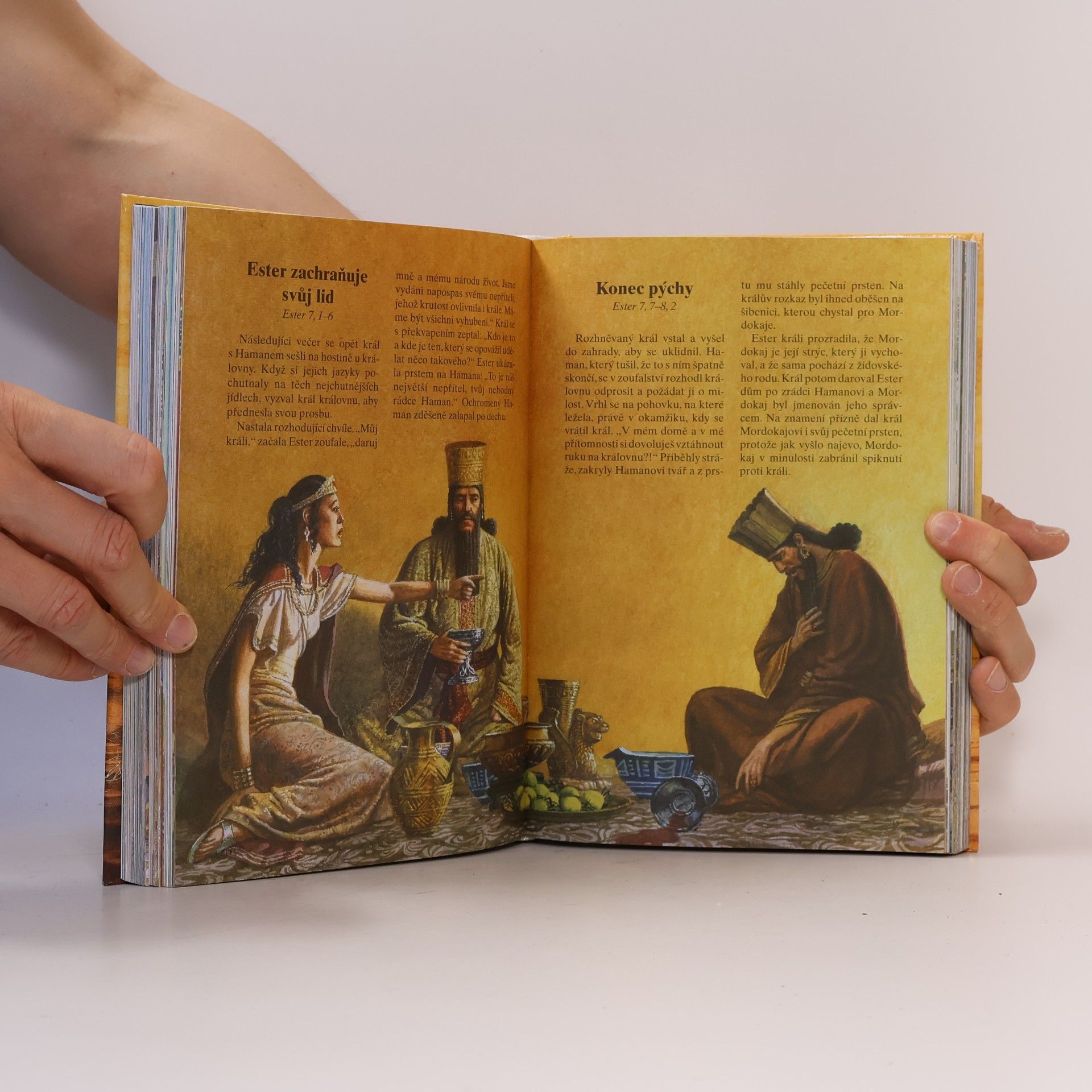 Various authors Dětská ilustrovaná bible