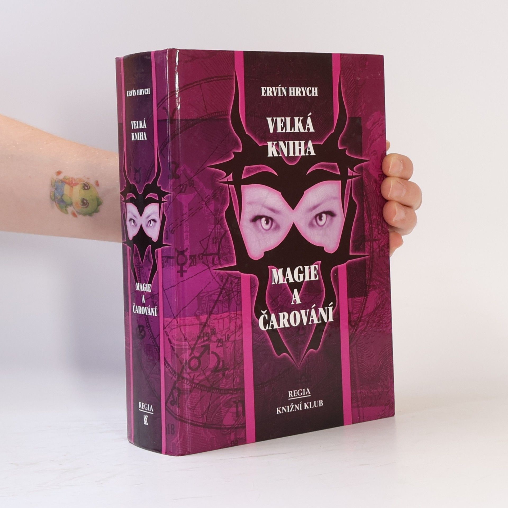 Ervín Hrych Velká kniha magie a čarování
