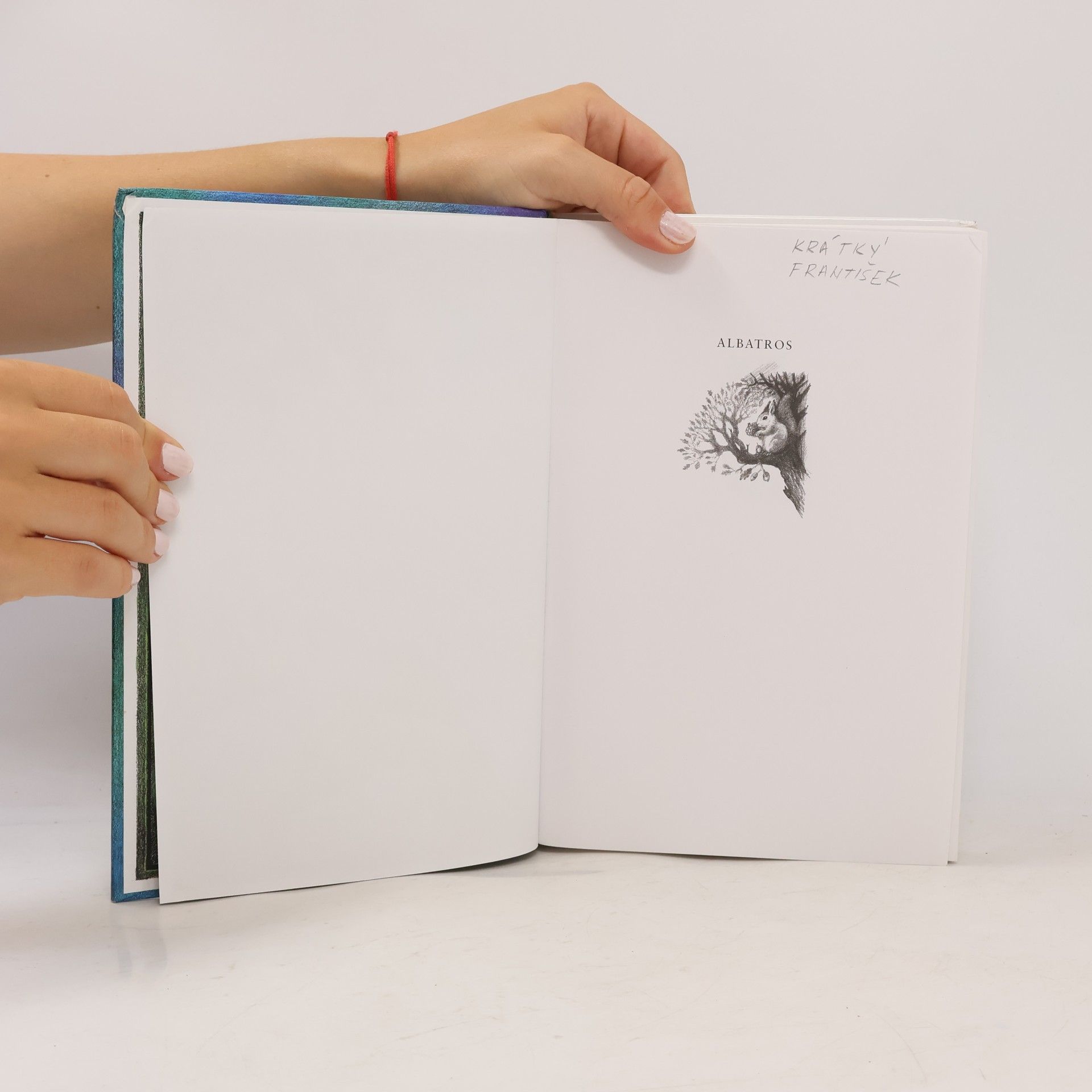 Astrid Lindgrenová Ronja, dcera loupežníka