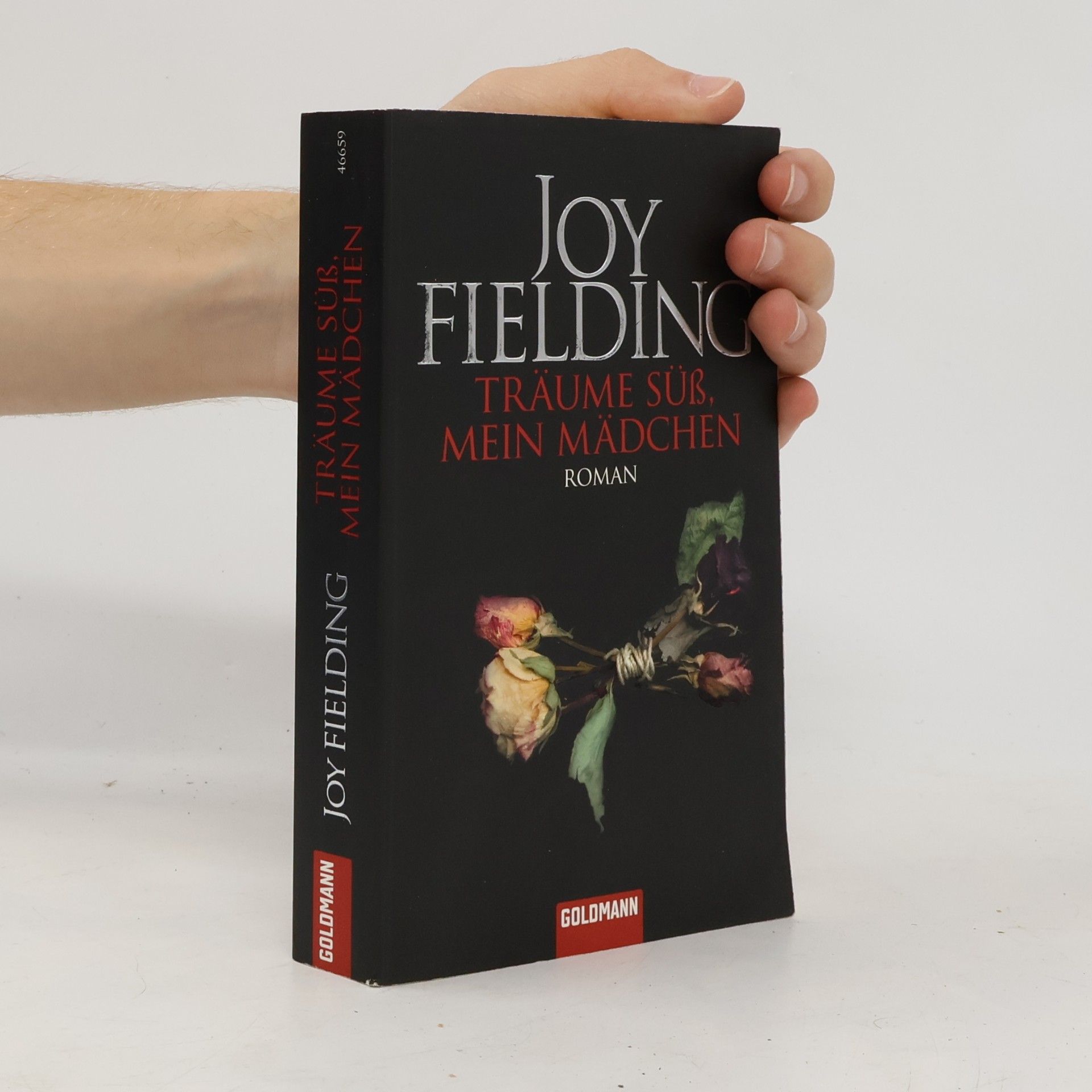 Joy Fielding Träume süss, mein Mädchen