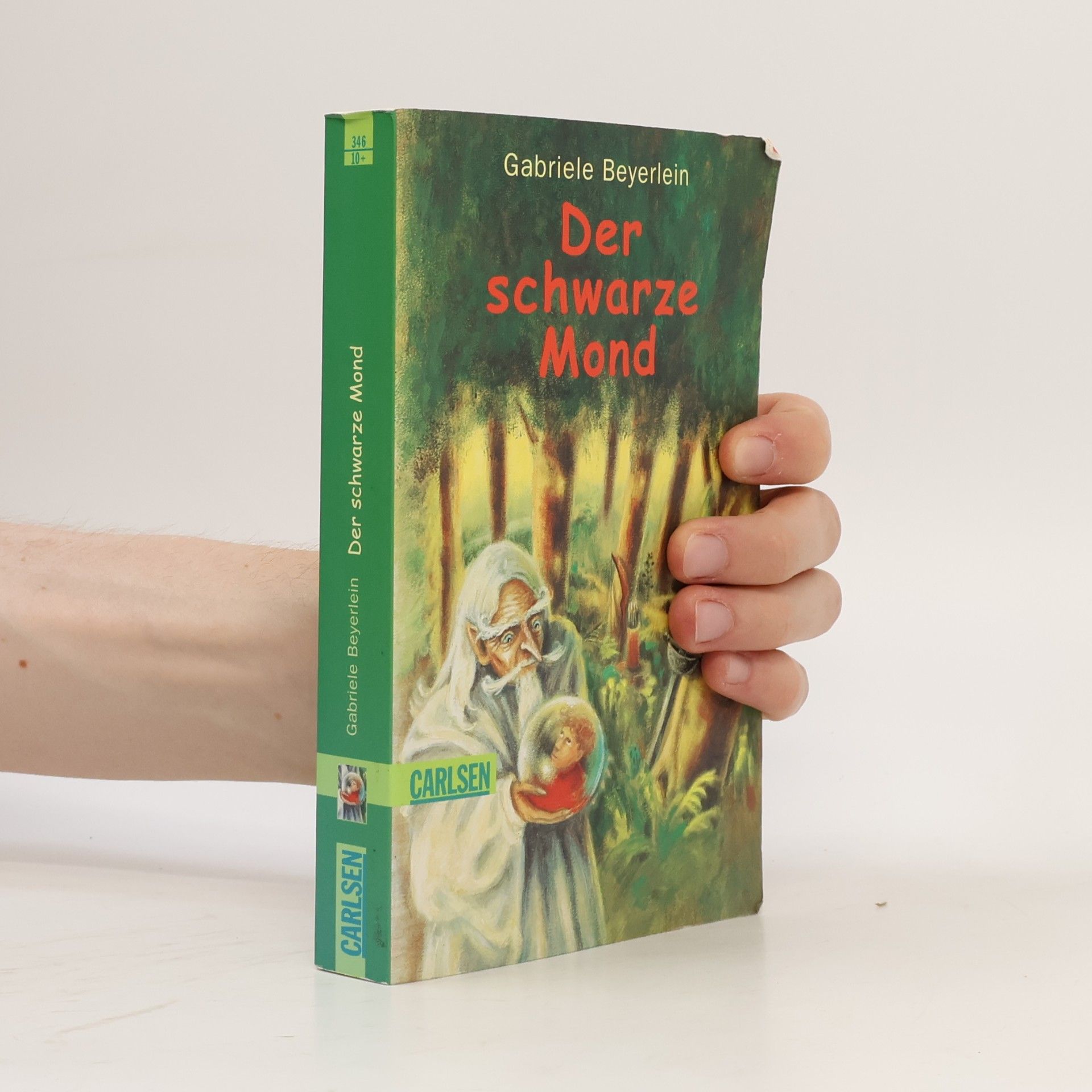 Gabriele Beyerlein Der schwarze Mond