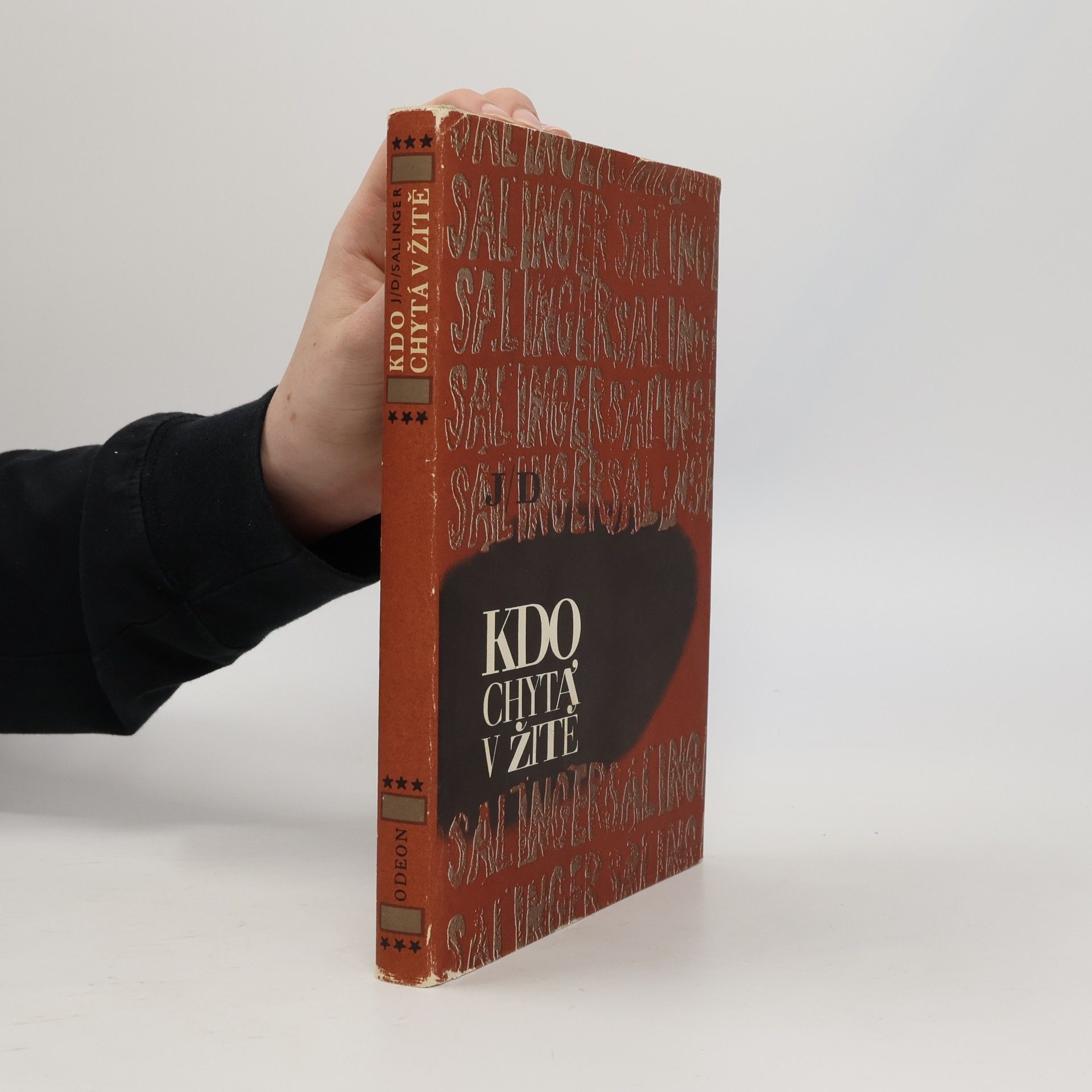 Jerome David Salinger Kdo chytá v žitě