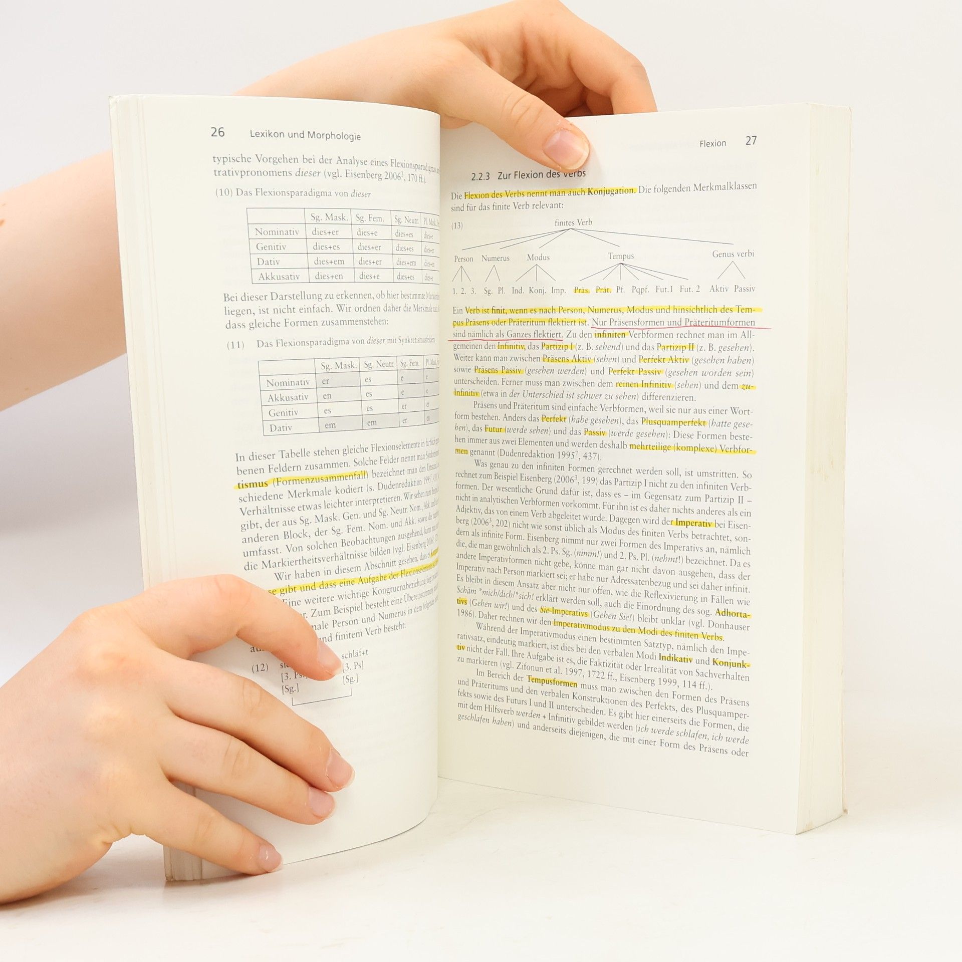 Jörg Meibauer Einführung in die germanistische Linguistik