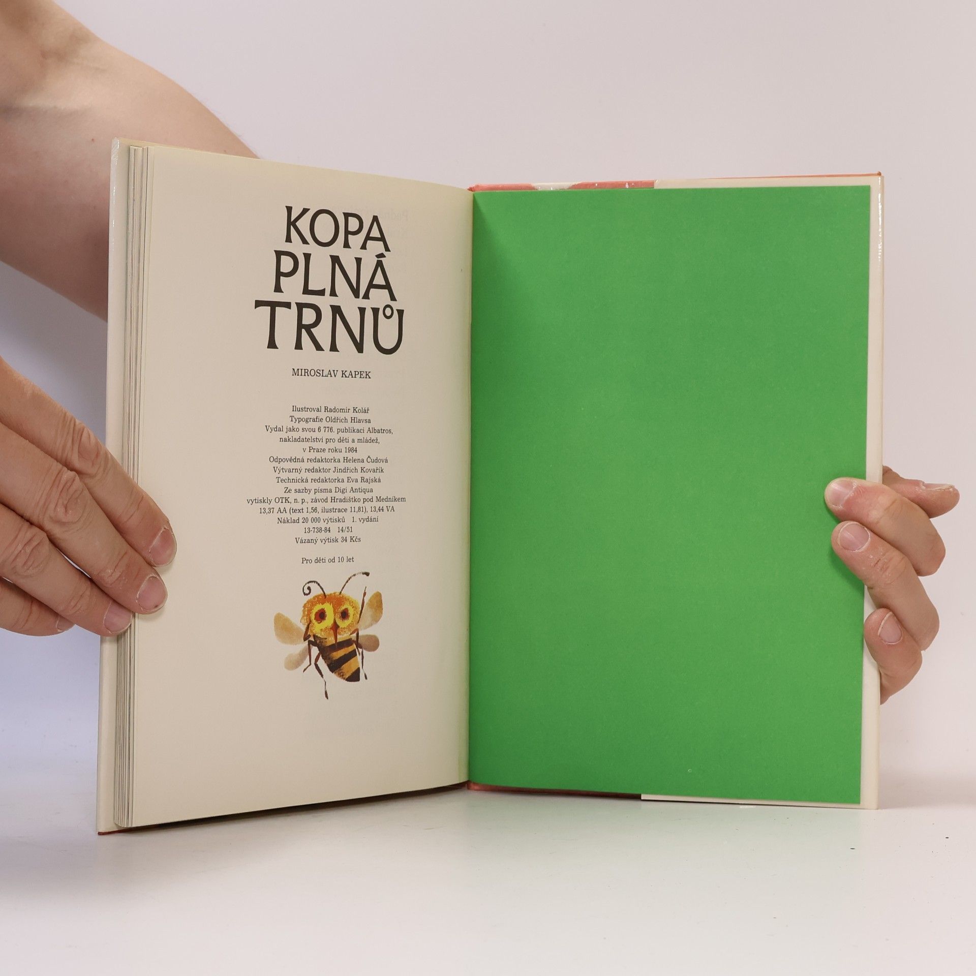 Miroslav Kapek Kopa plná trnů