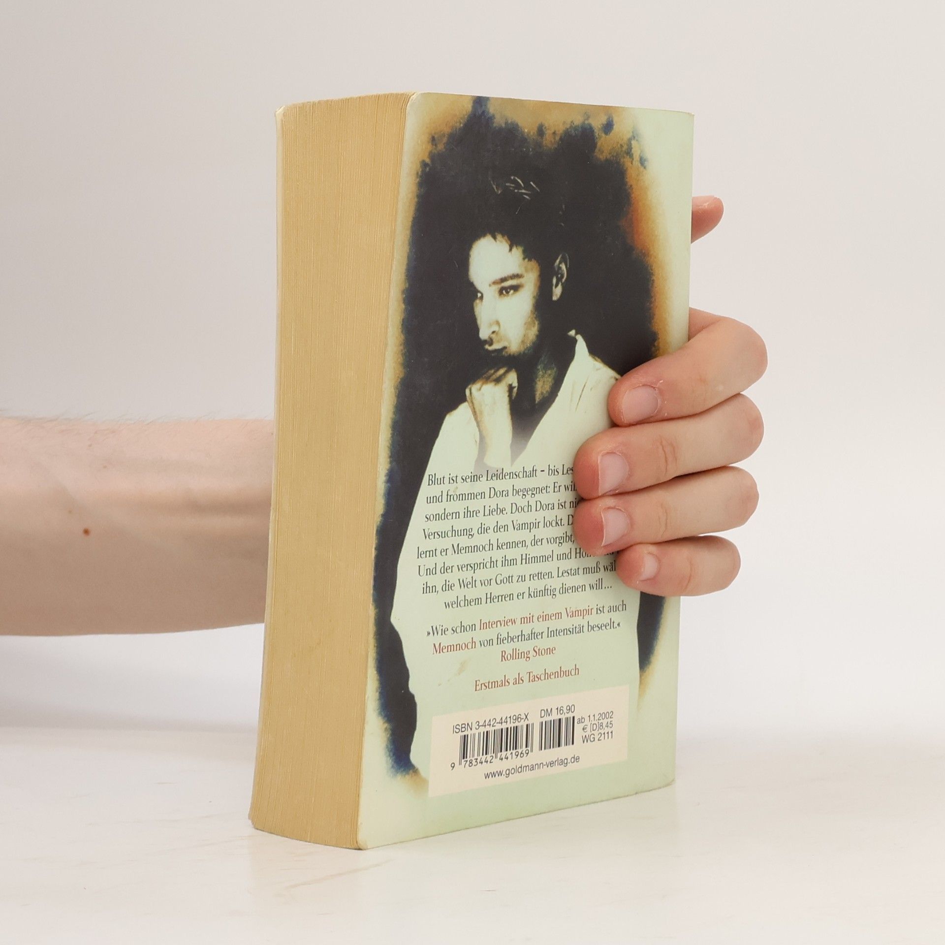 Anne Rice Memnoch der Teufel