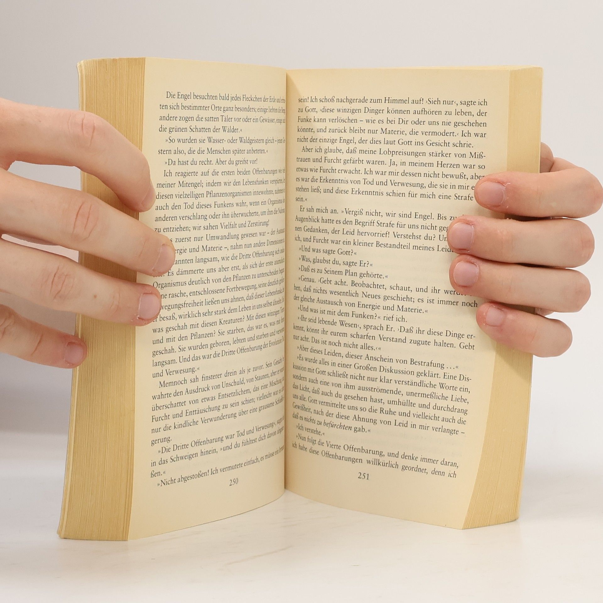 Anne Rice Memnoch der Teufel