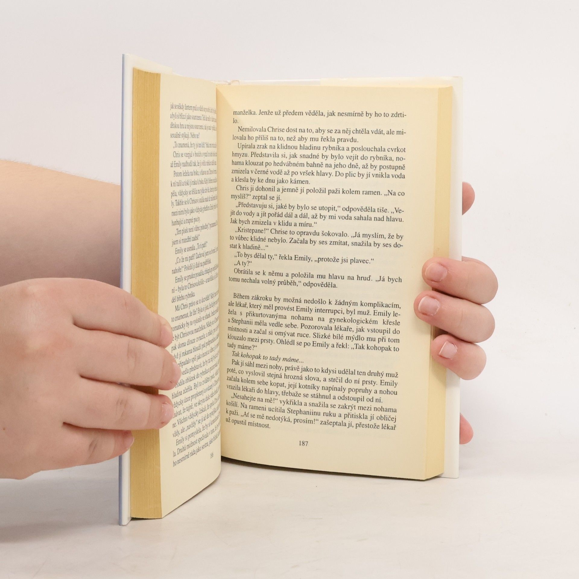 Jodi Picoult Až na konec všech dní : příběh jedné lásky
