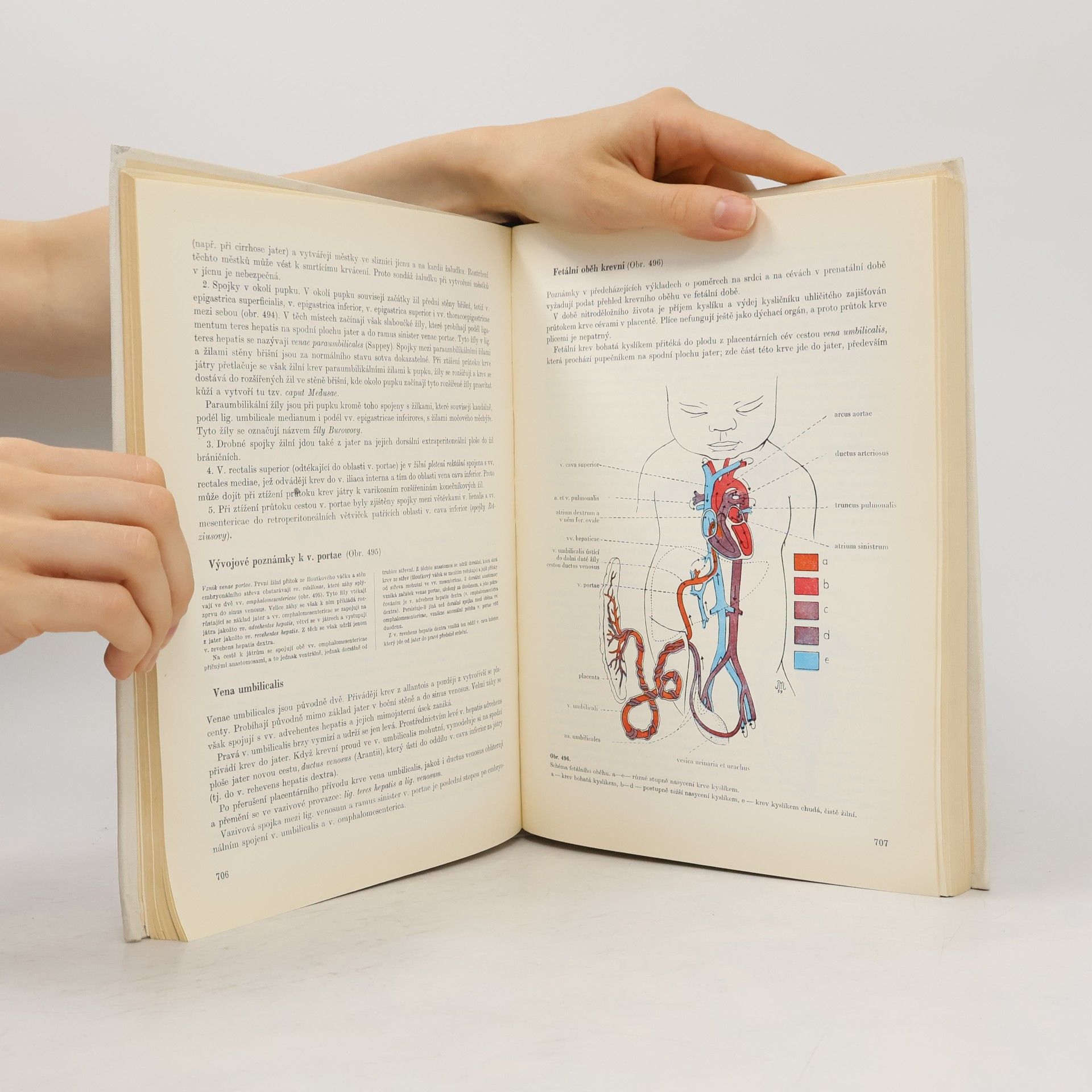 Ladislav Borovanský Soustavná anatomie člověka II.