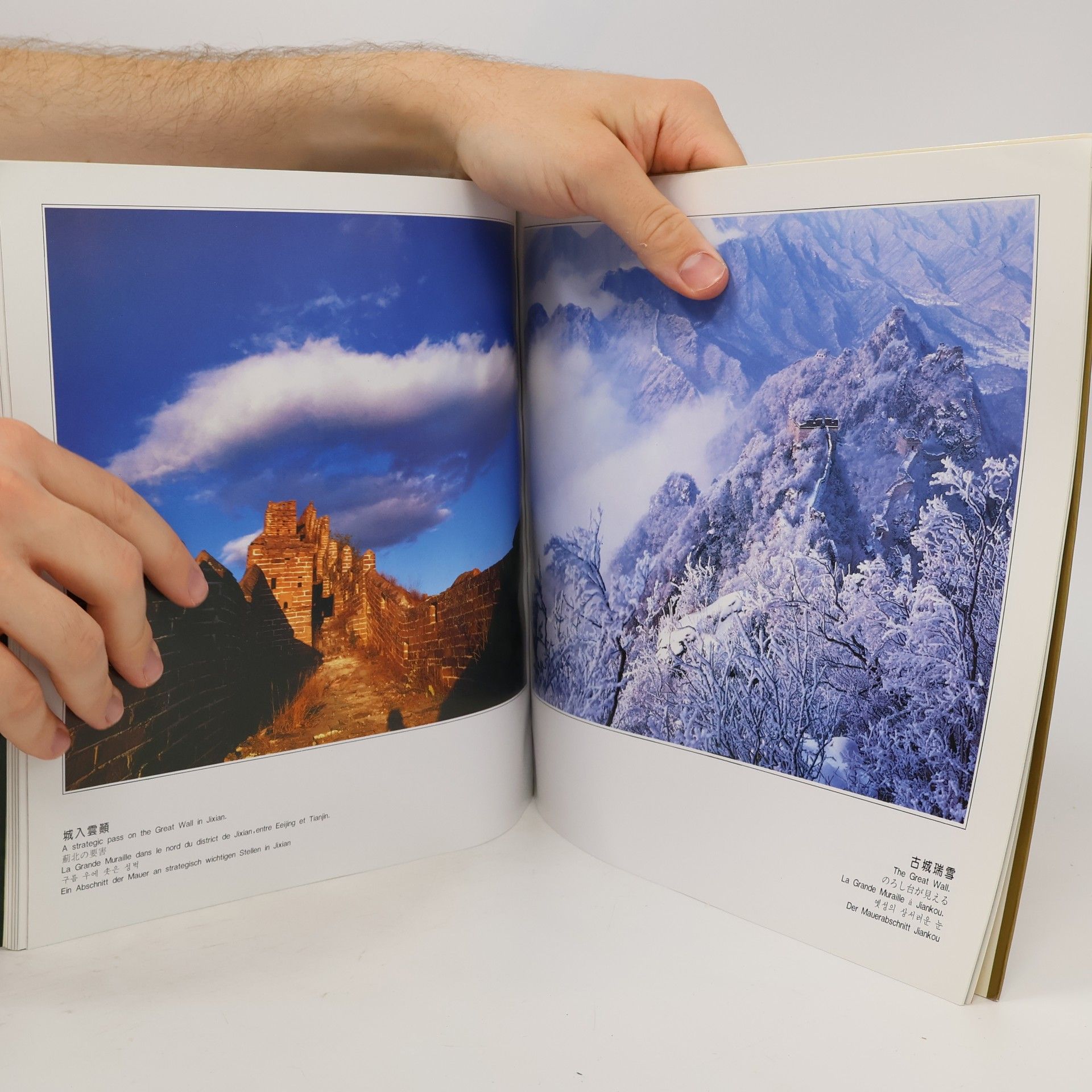 Various authors Great Wall