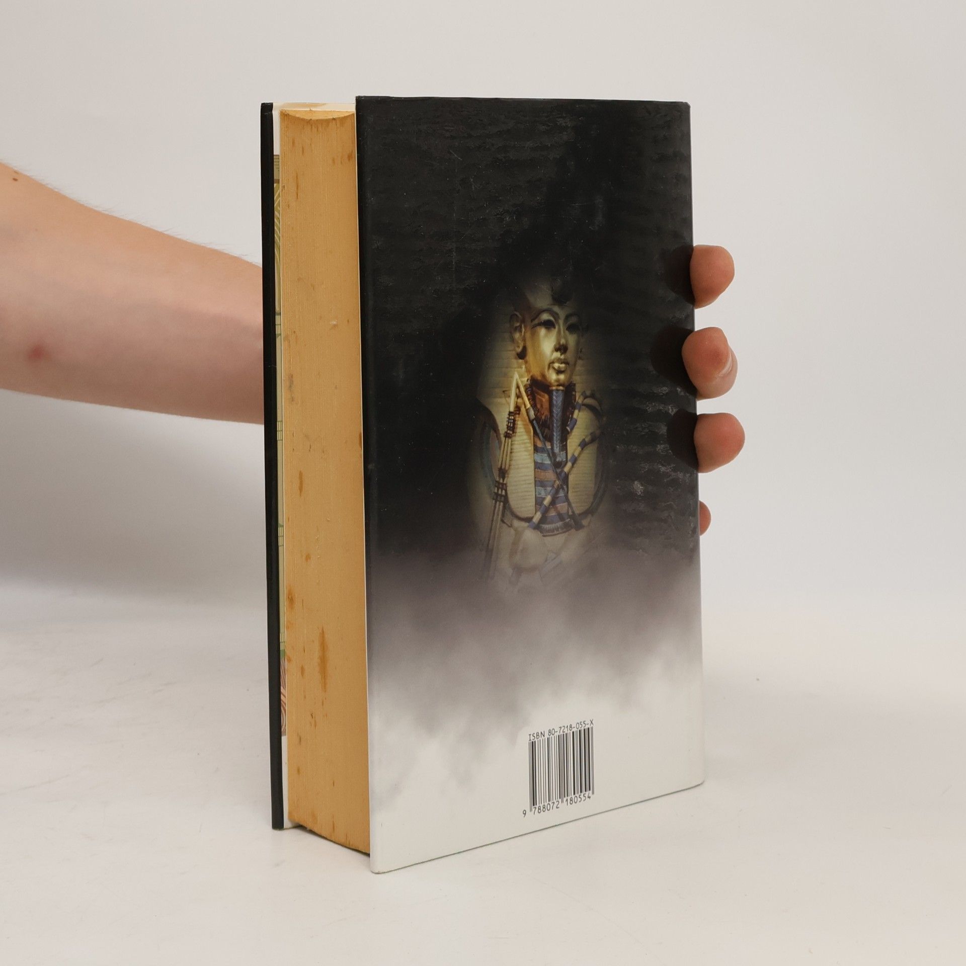 Wilbur Smith Řeka bohů II