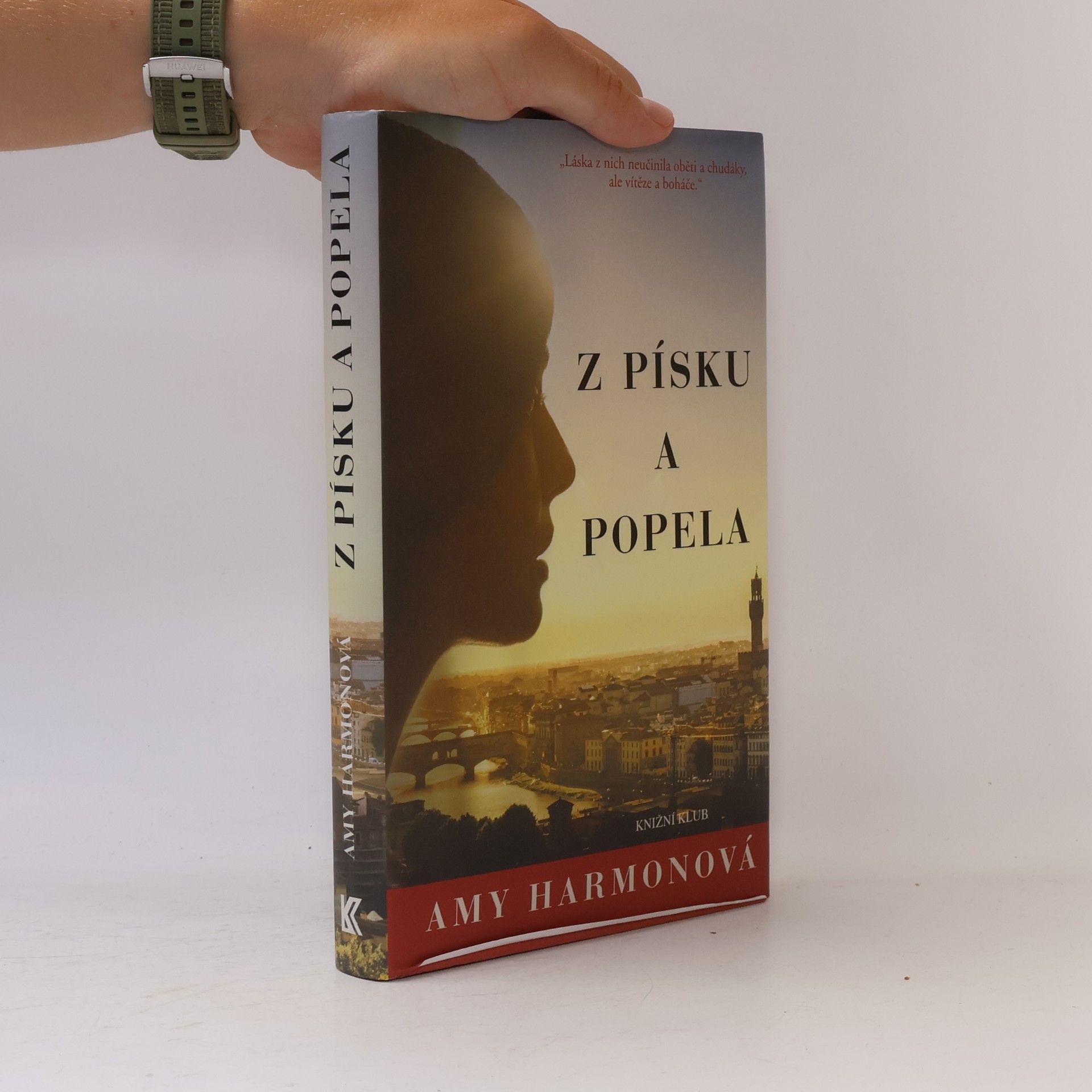 Amy Harmon Z písku a popela