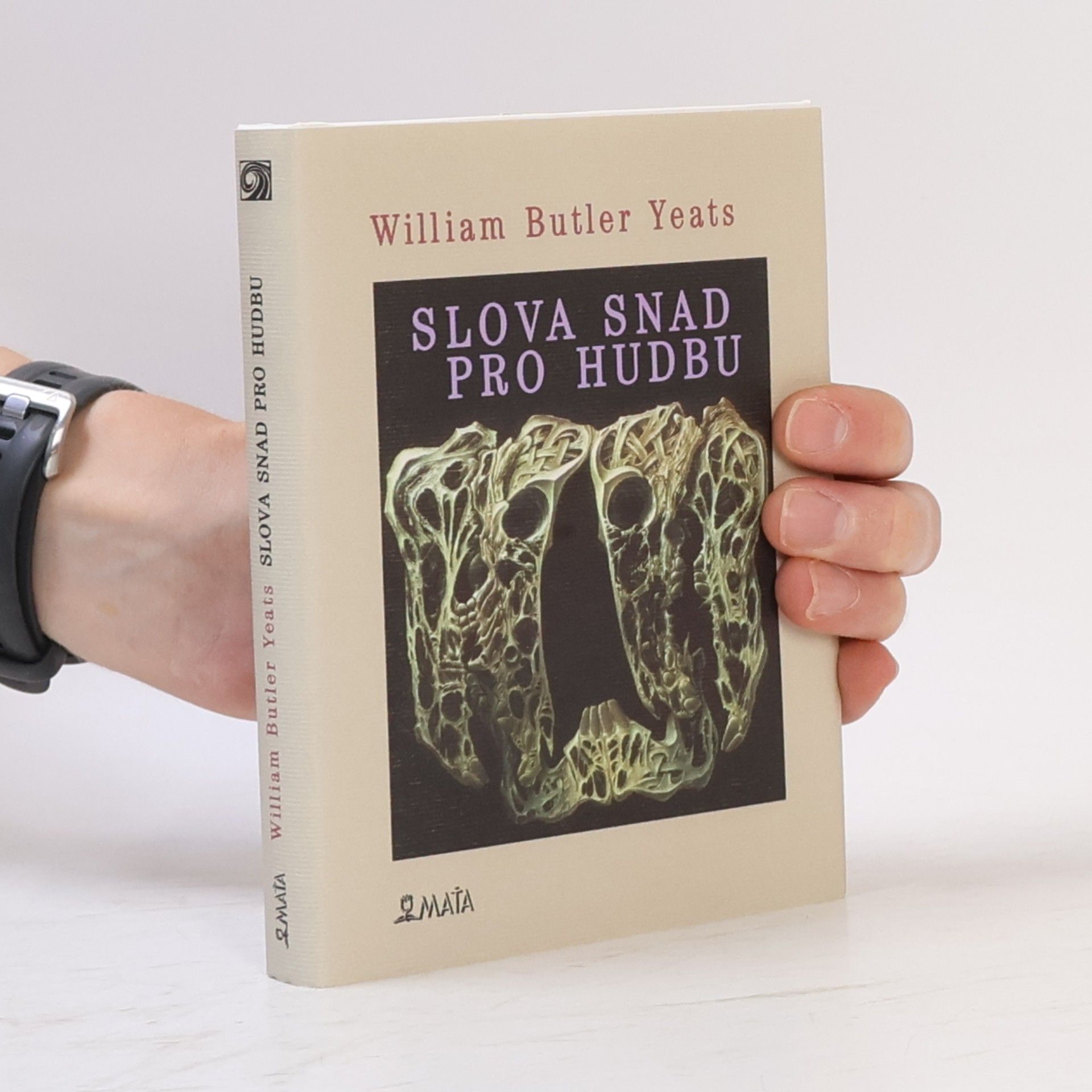 W. B. Yeats Slova snad pro hudbu