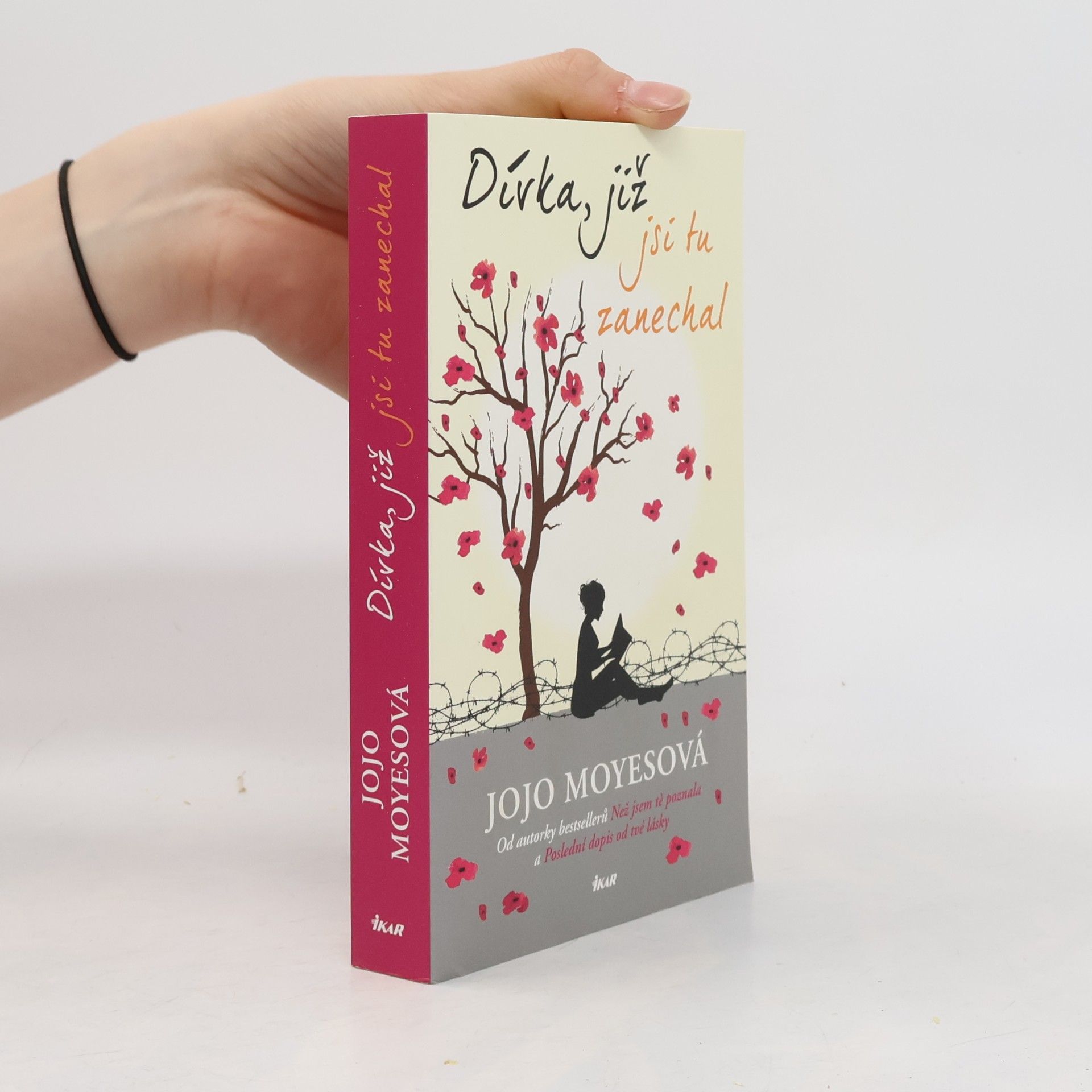 Jojo Moyes Dívka, již jsi tu zanechal