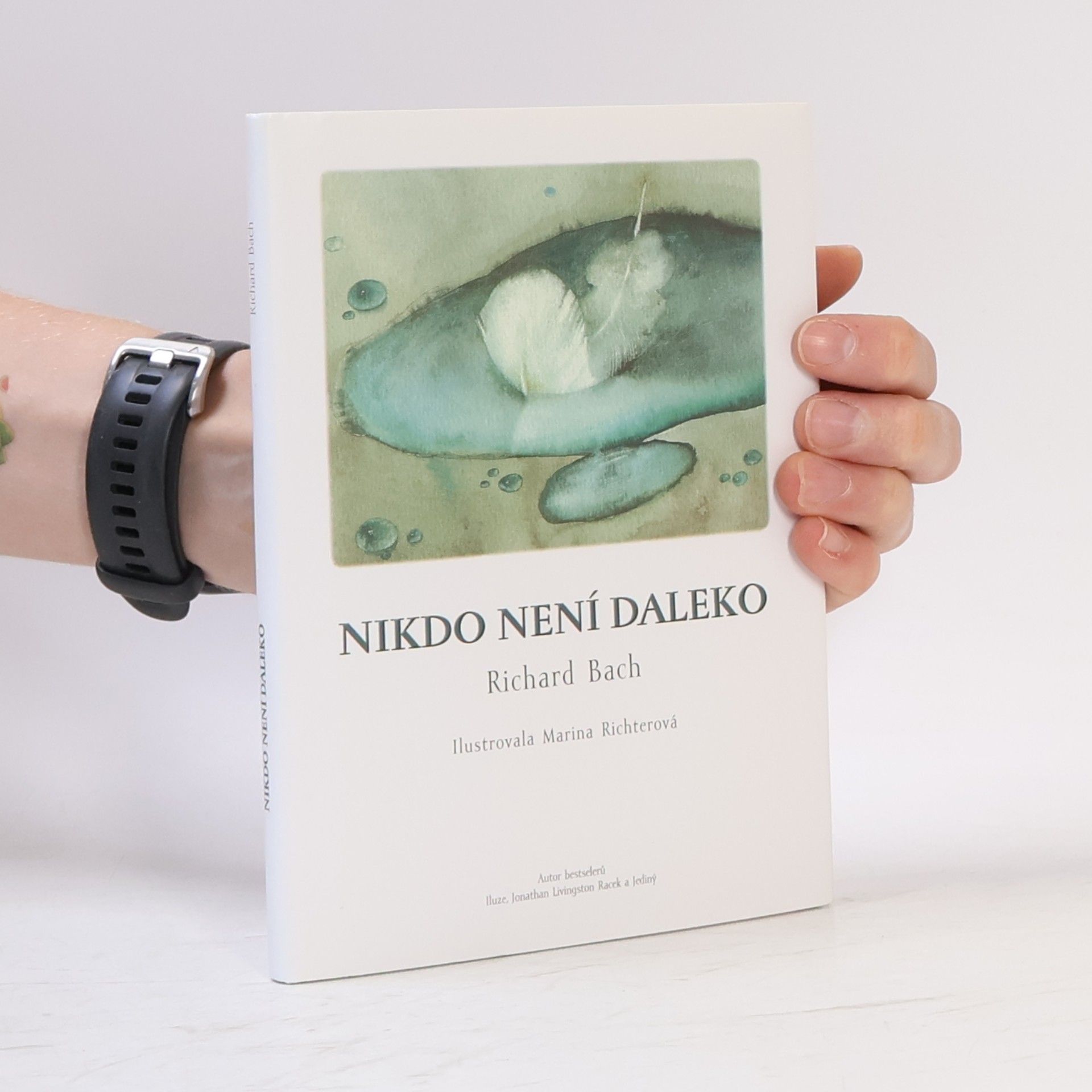 Richard Bach Nikdo není daleko
