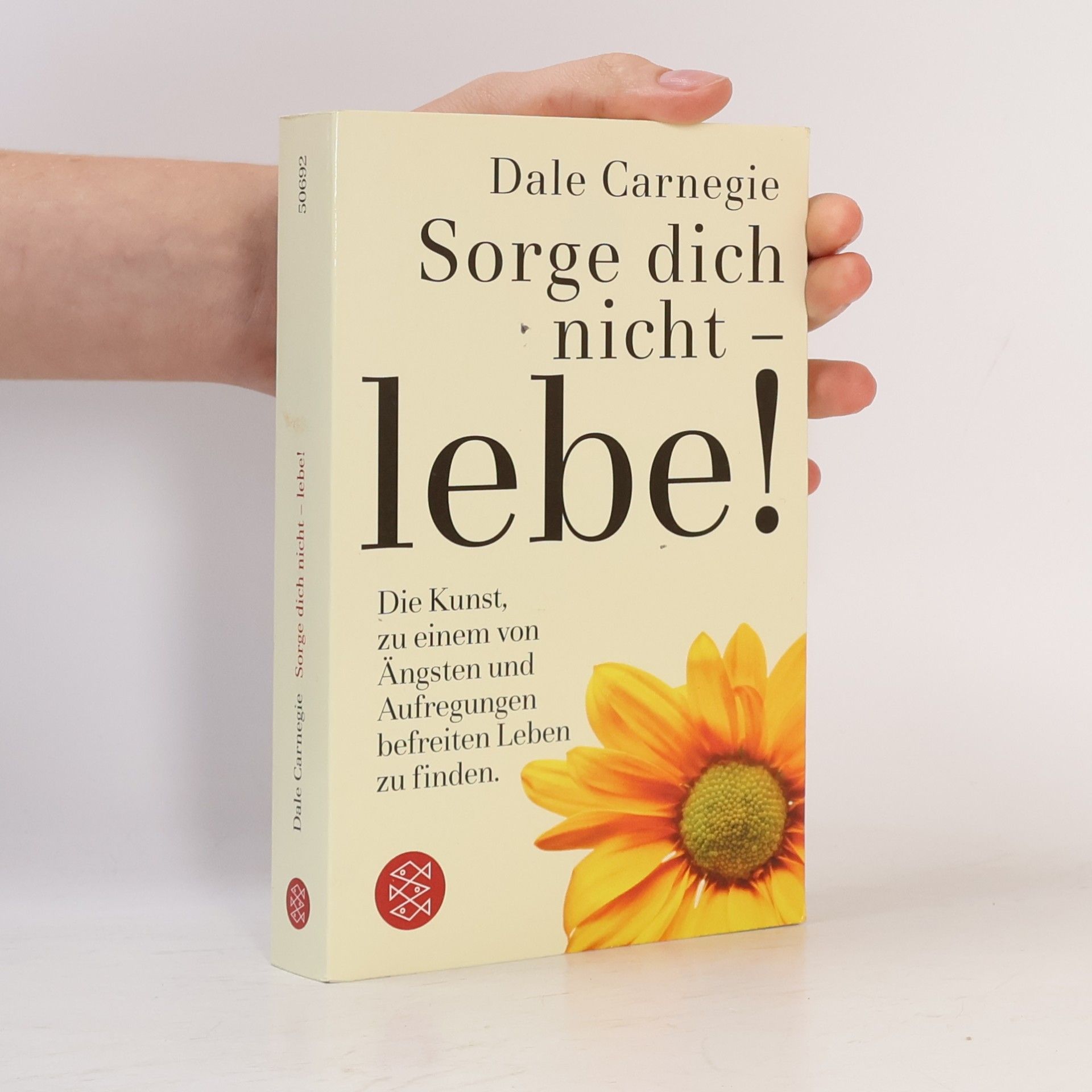 Dale Carnegie Sorge dich nicht - lebe!
