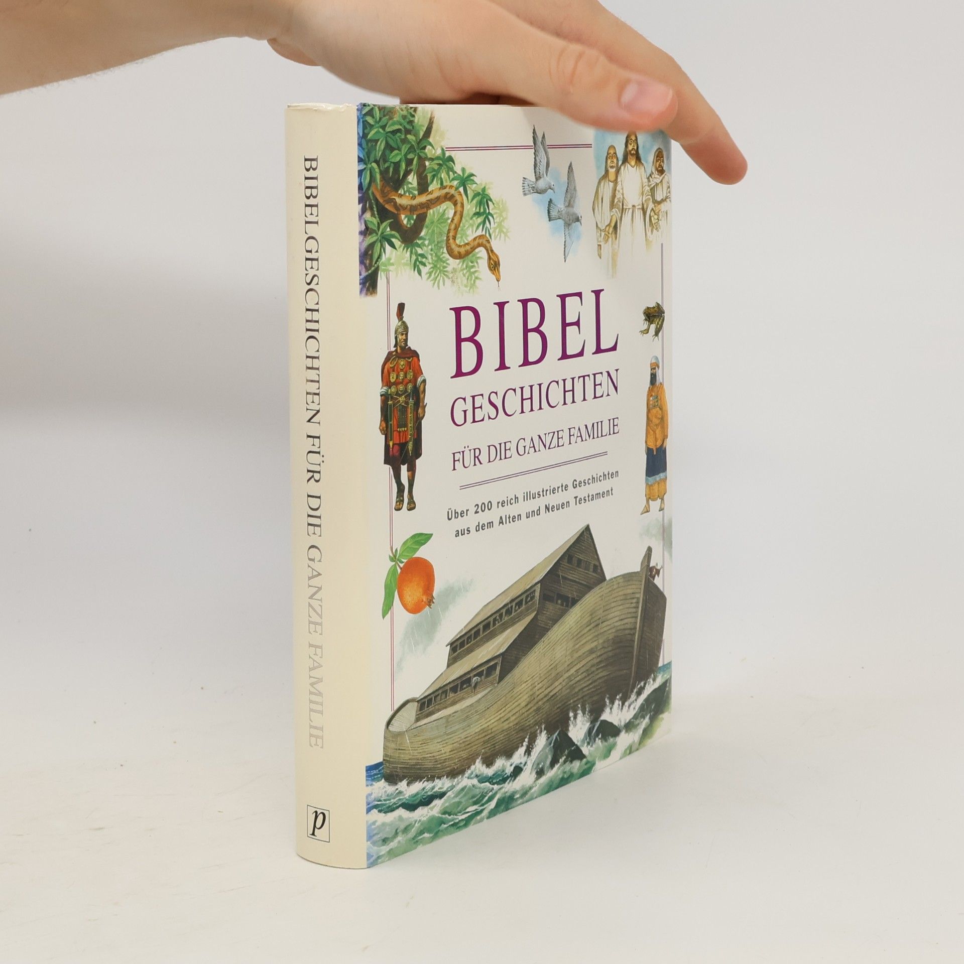 Various authors Bibelgeschichten für die ganze Familie