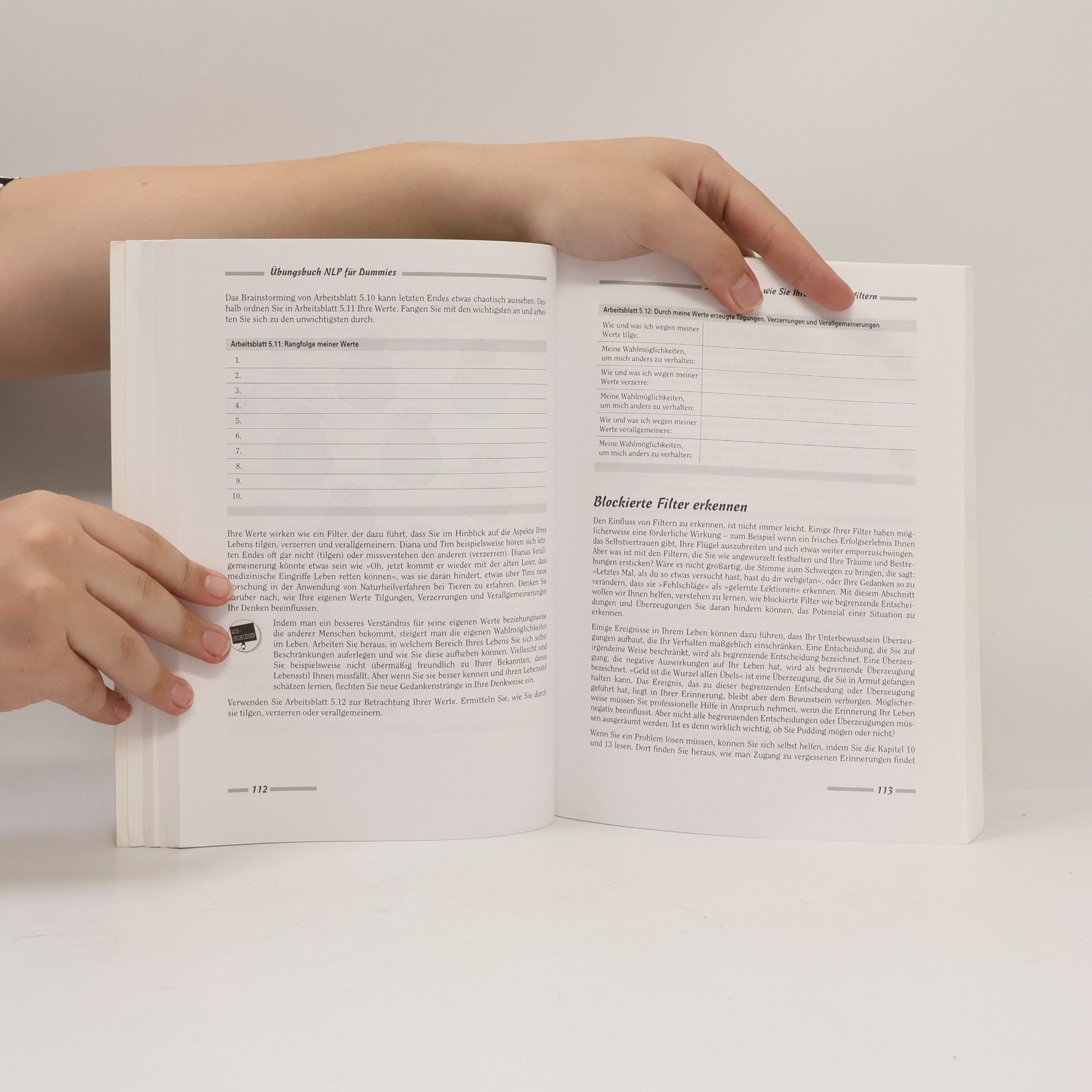 Romilla Ready Übungsbuch NLP für Dummies
