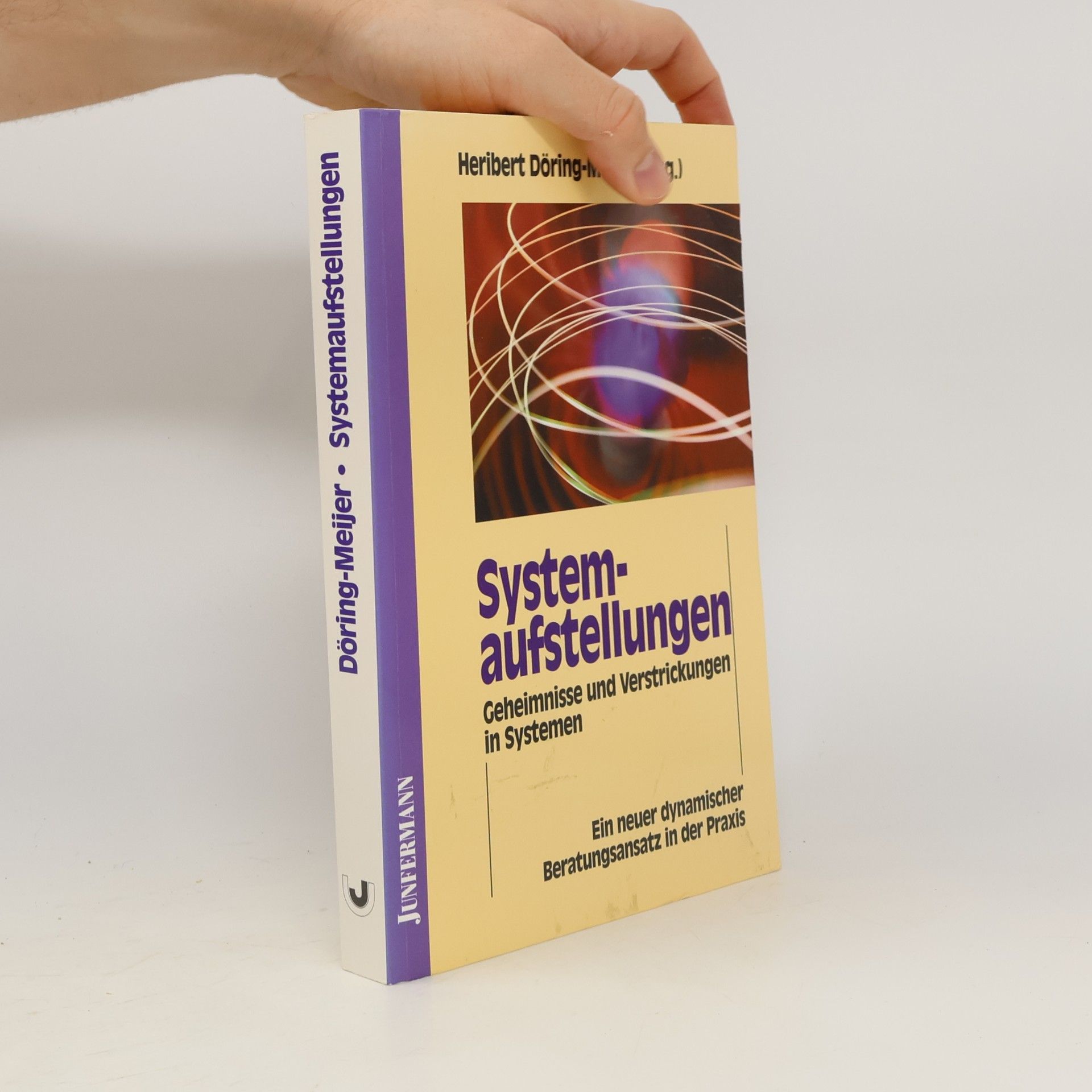 Heribert Döring-Meijer Systemaufstellungen