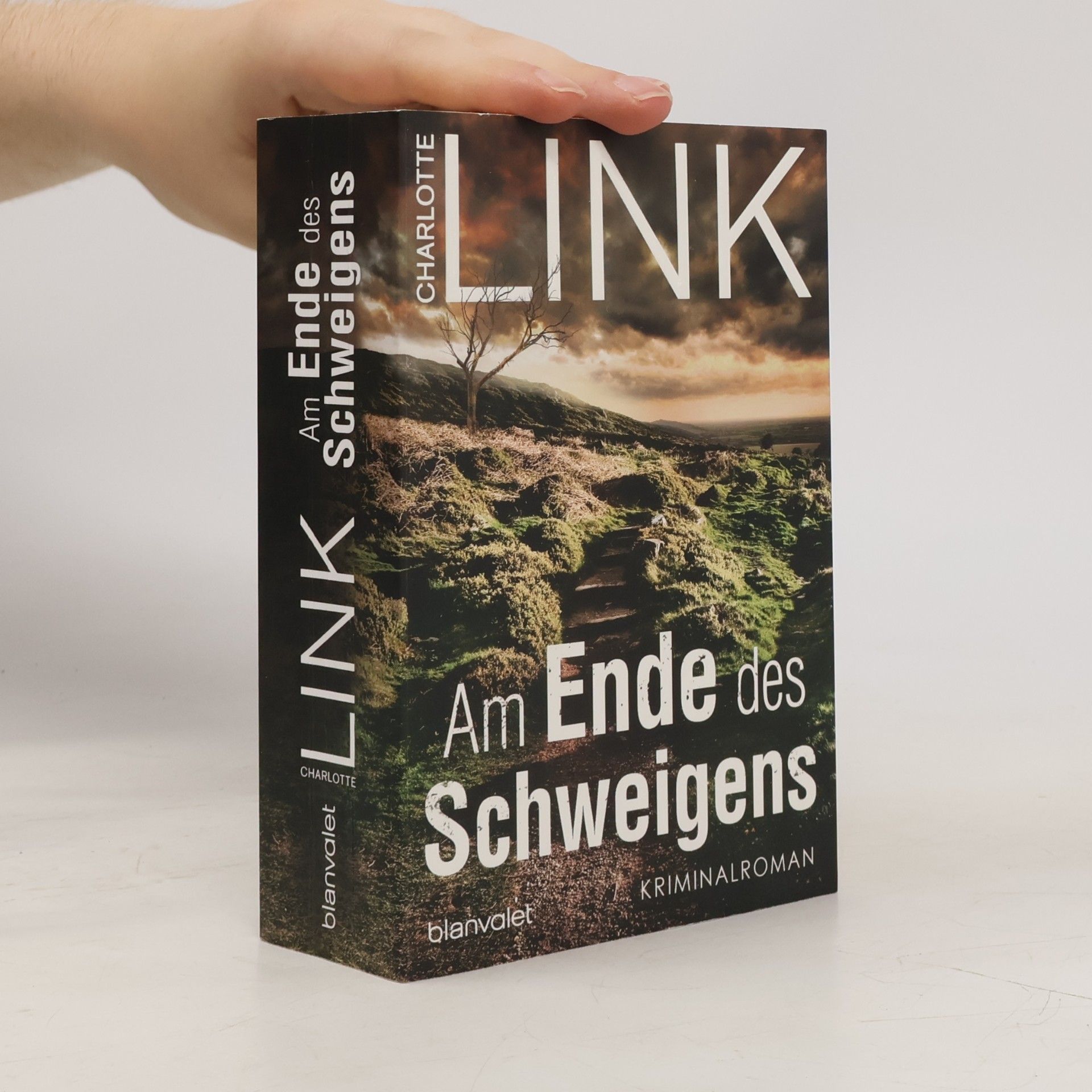Charlotte Link Am Ende des Schweigens