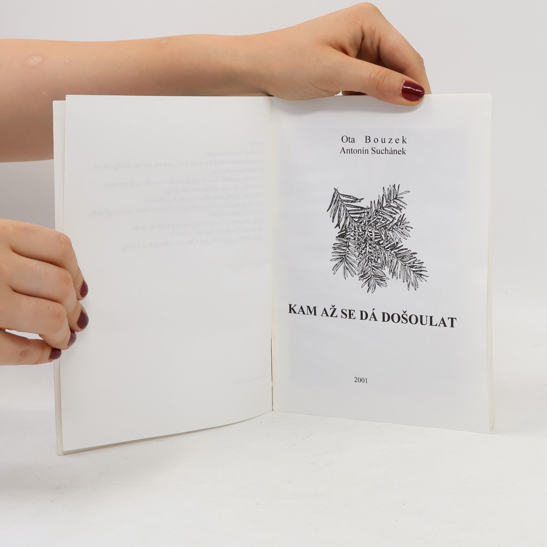 A. Suchánek Kam až se dá došoulat