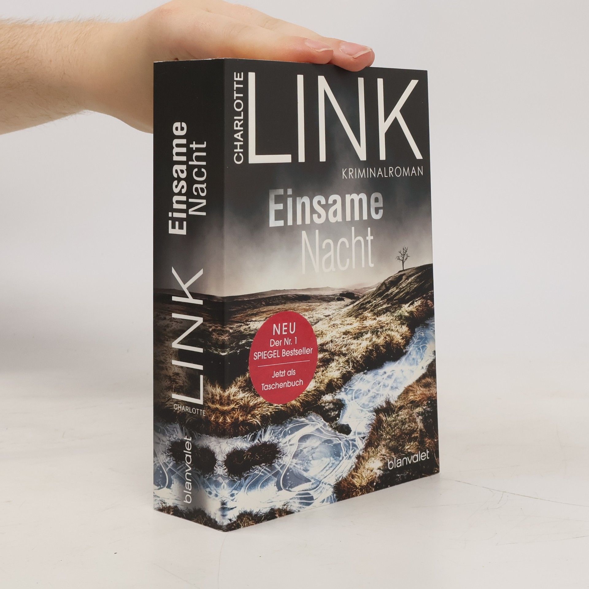 Charlotte Link Einsame Nacht