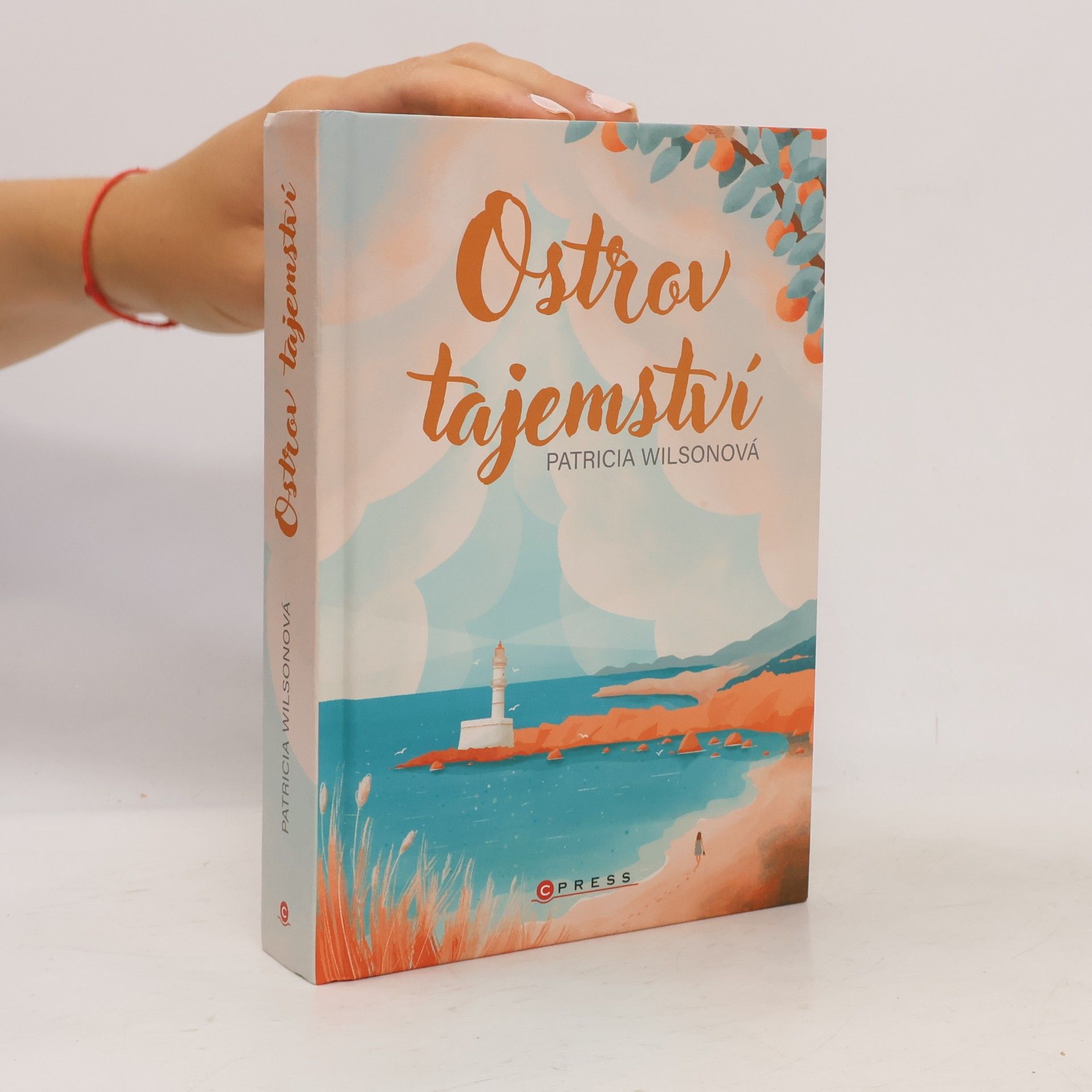Patricia Wilson Ostrov tajemství