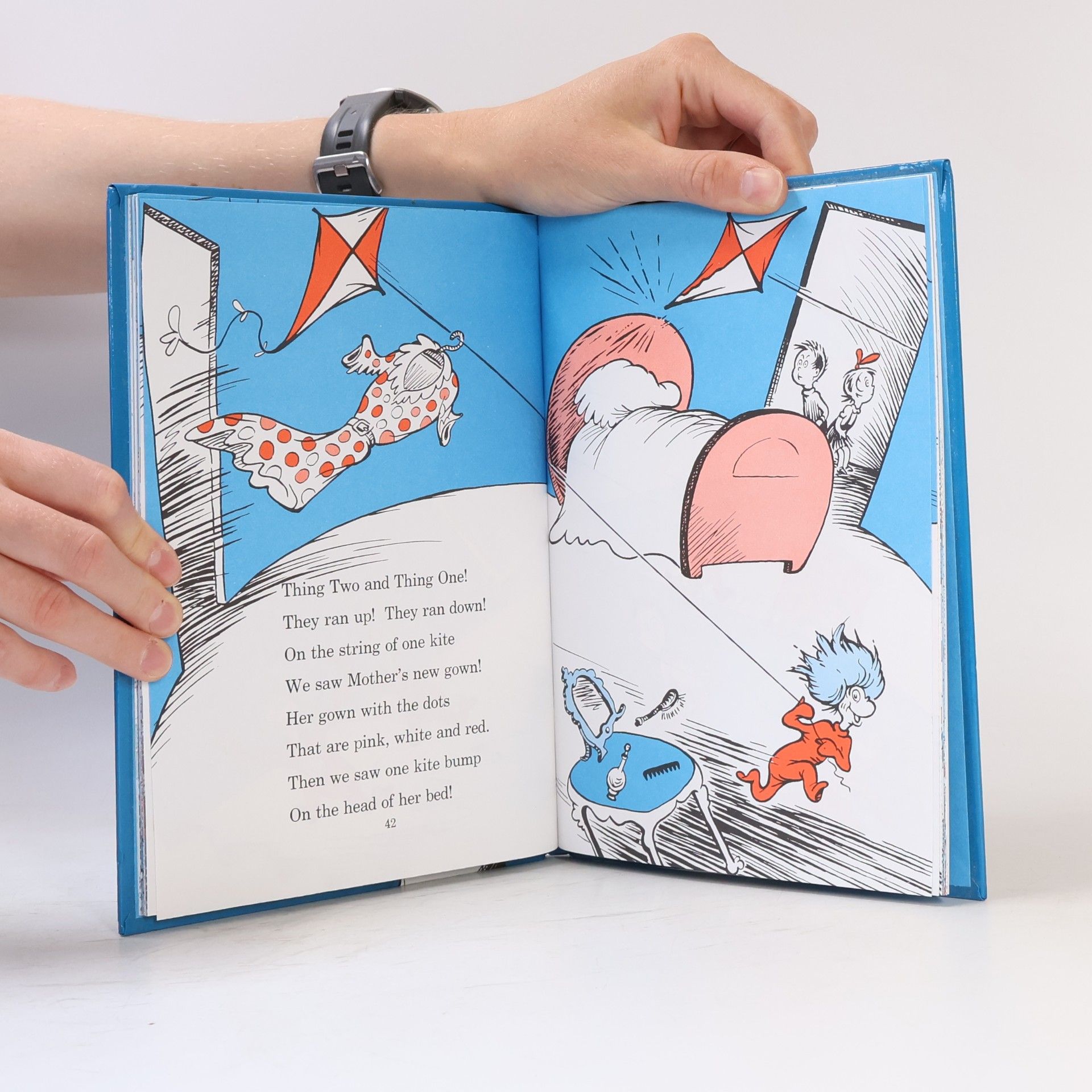 Dr. Seuss The cat in the hat