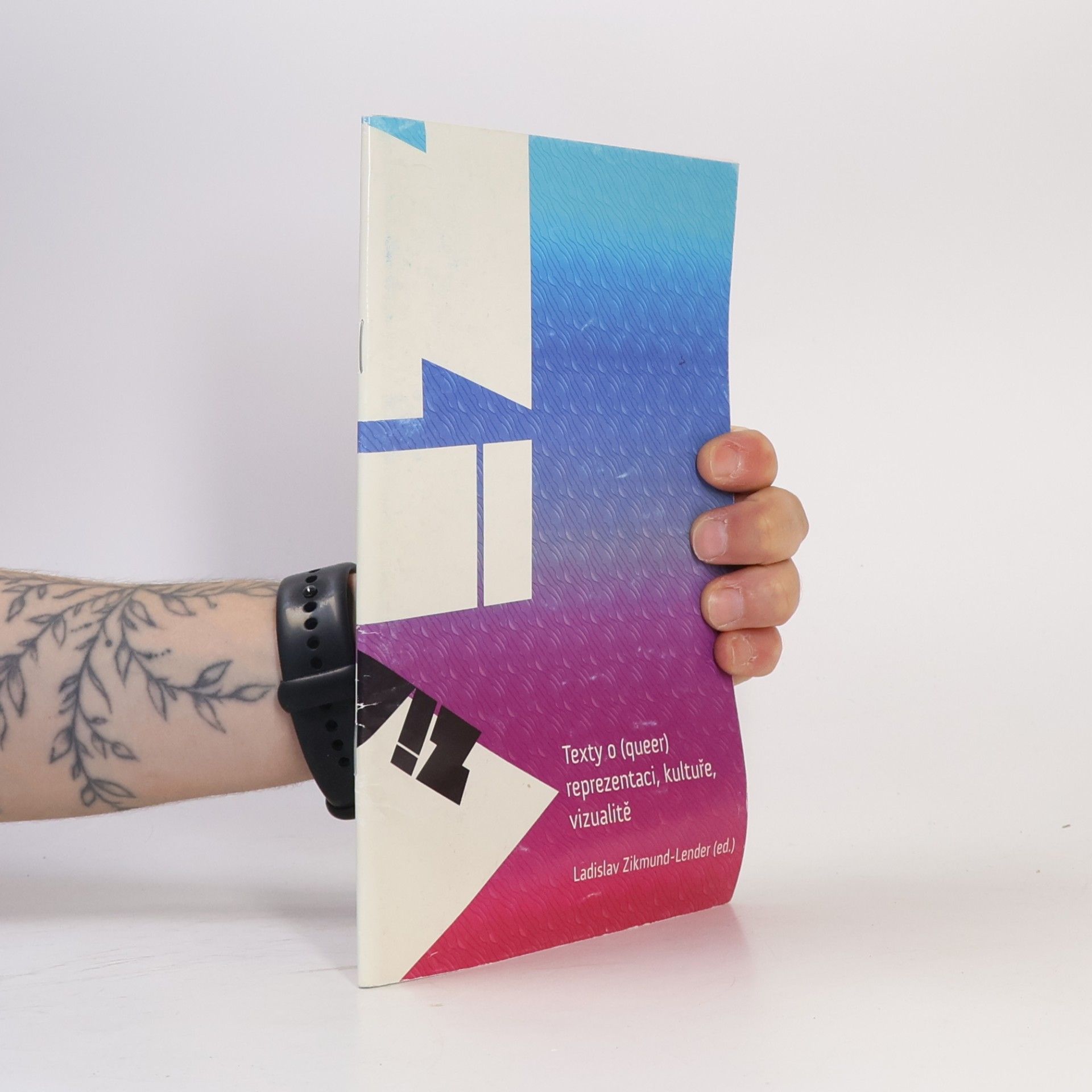 Ladislav Zikmund-Lender Texty o (queer) reprezentaci, kultuře, vizualitě