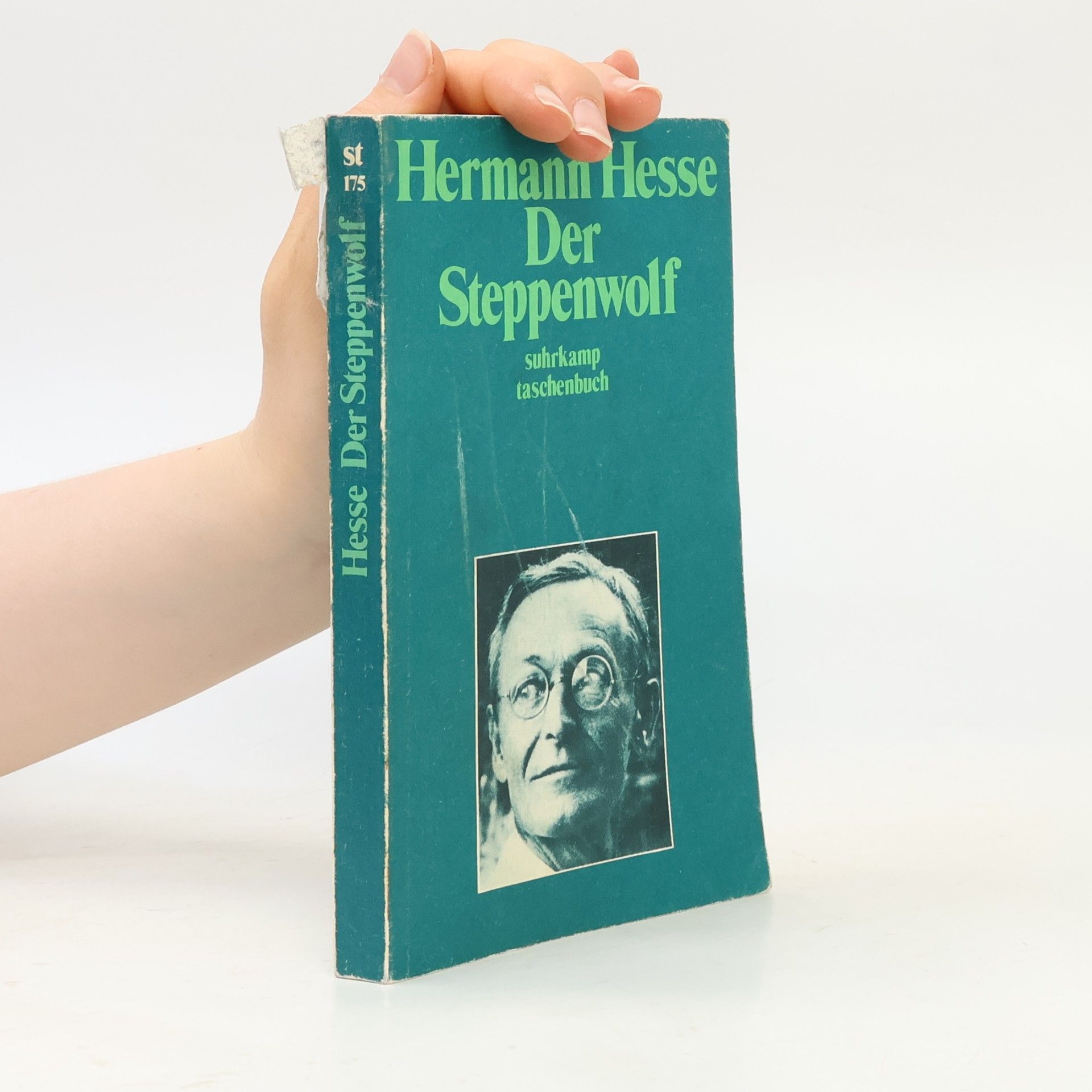 Hermann Hesse Der Steppenwolf