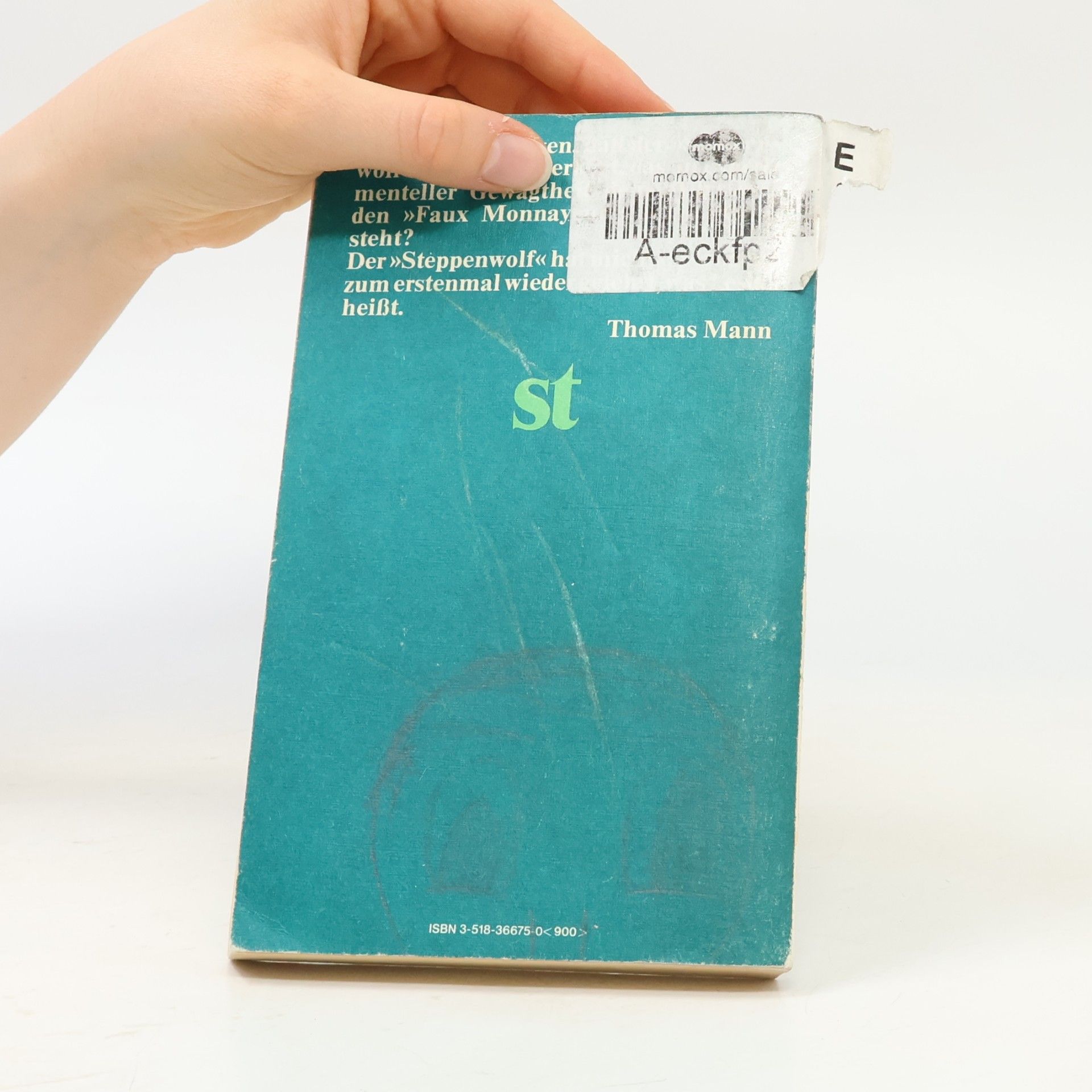 Hermann Hesse Der Steppenwolf