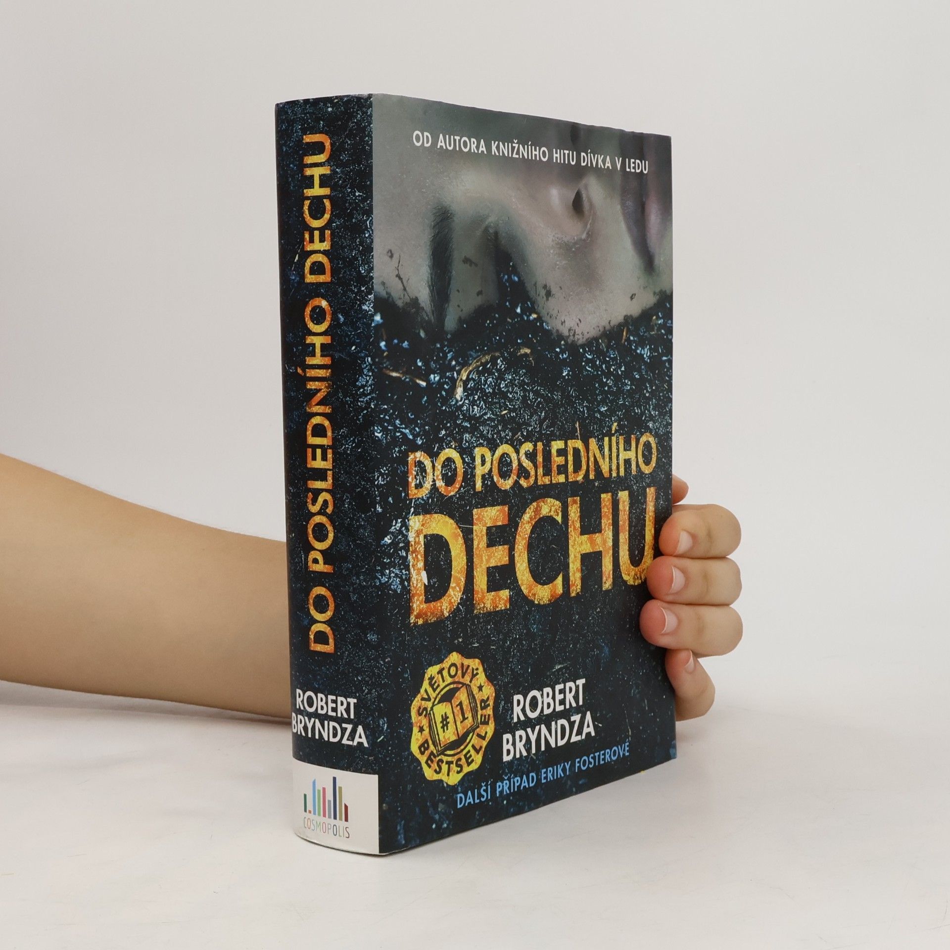 Robert Bryndza Do posledního dechu