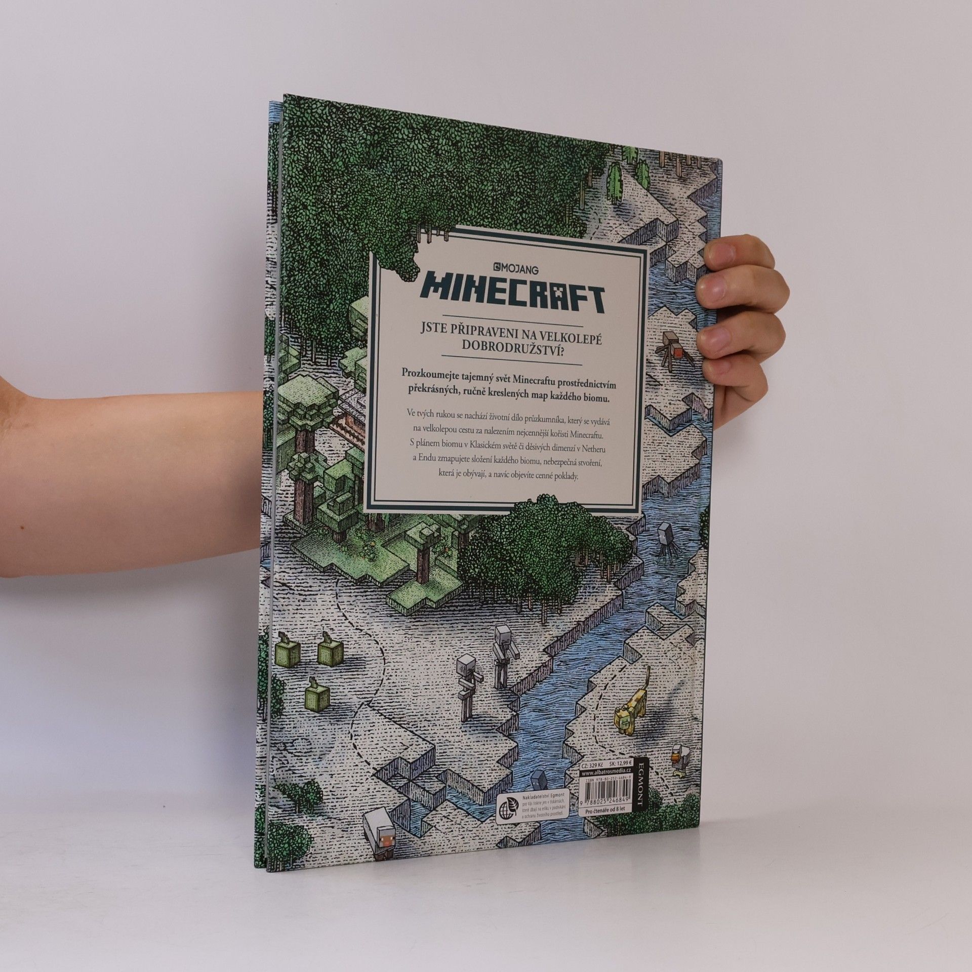 Stephanie Milton Minecraft atlas
