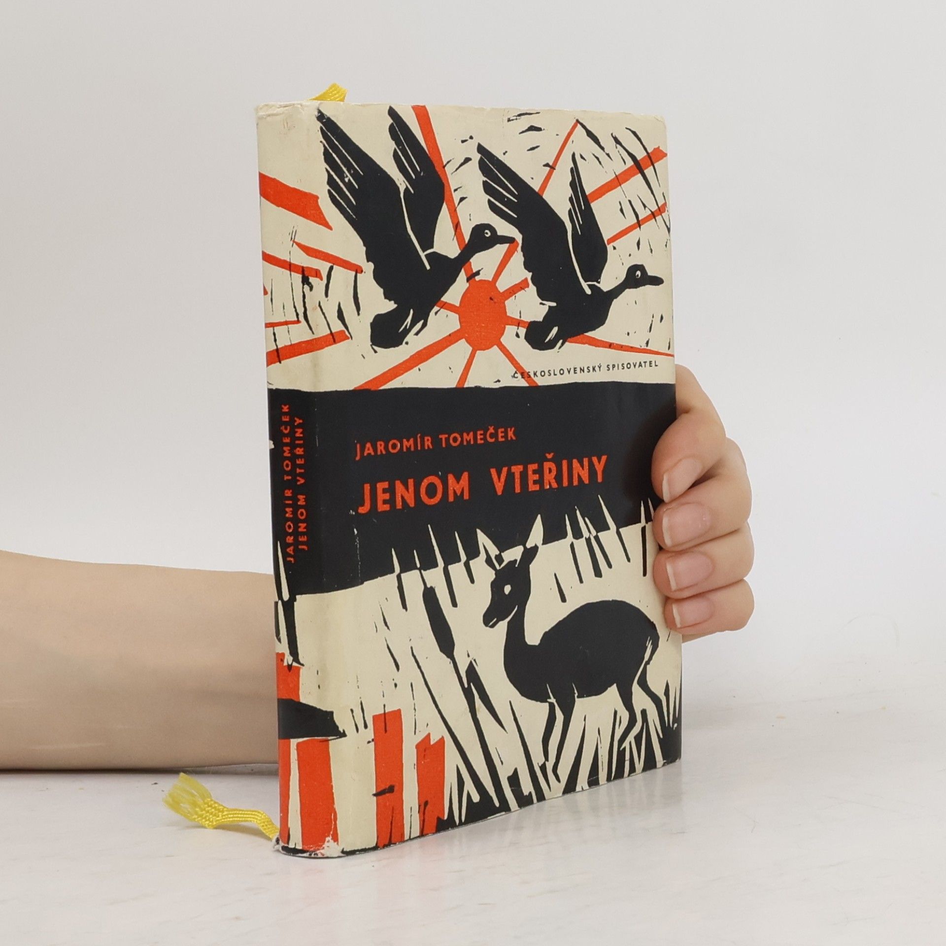 Jaromír Tomeček Jenom vteřiny