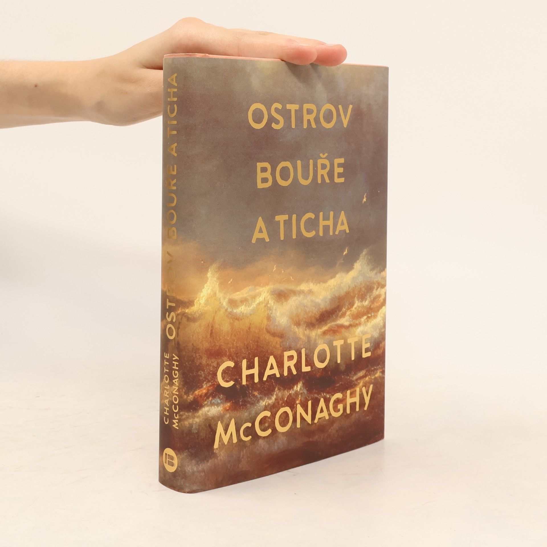 CHARLOTTE. MCCONAGHY Ostrov bouře a ticha