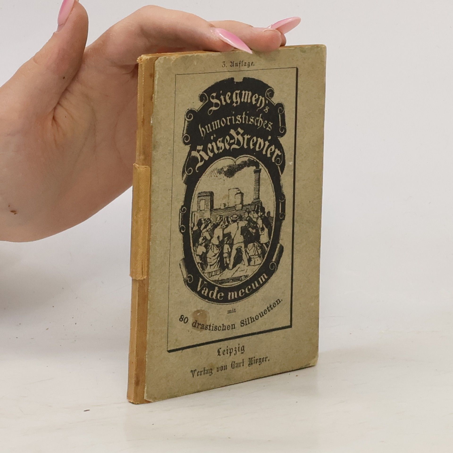Autorenkollektiv Siegmen's Humoristisches Reise-Brevier